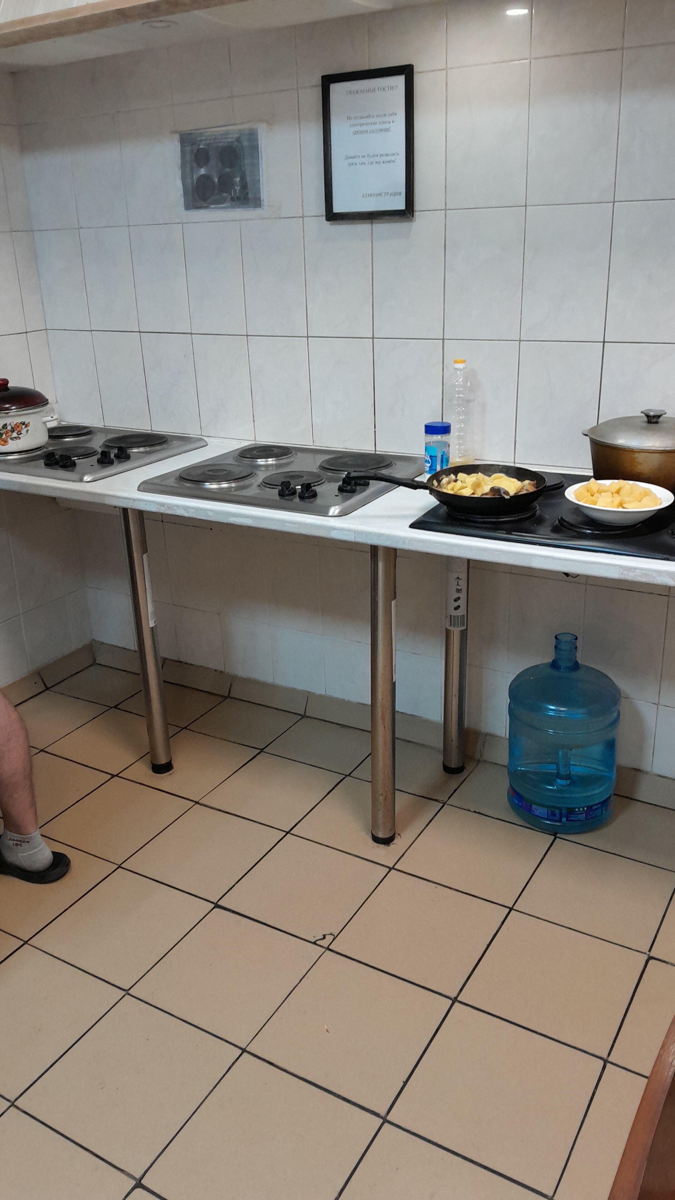 Фото Вежливый лось