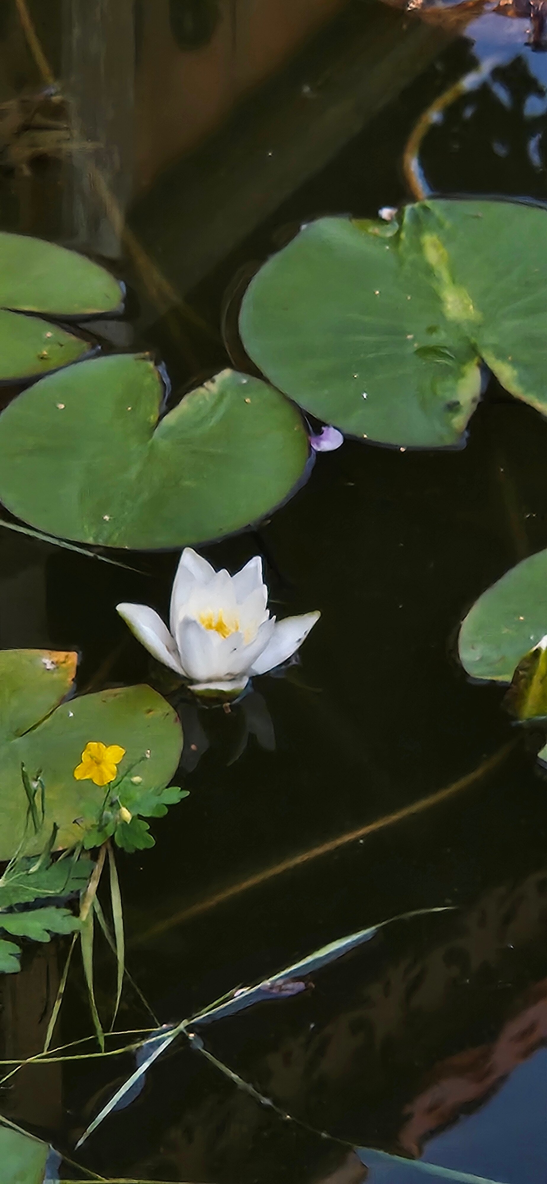 Фото Марьина Роща