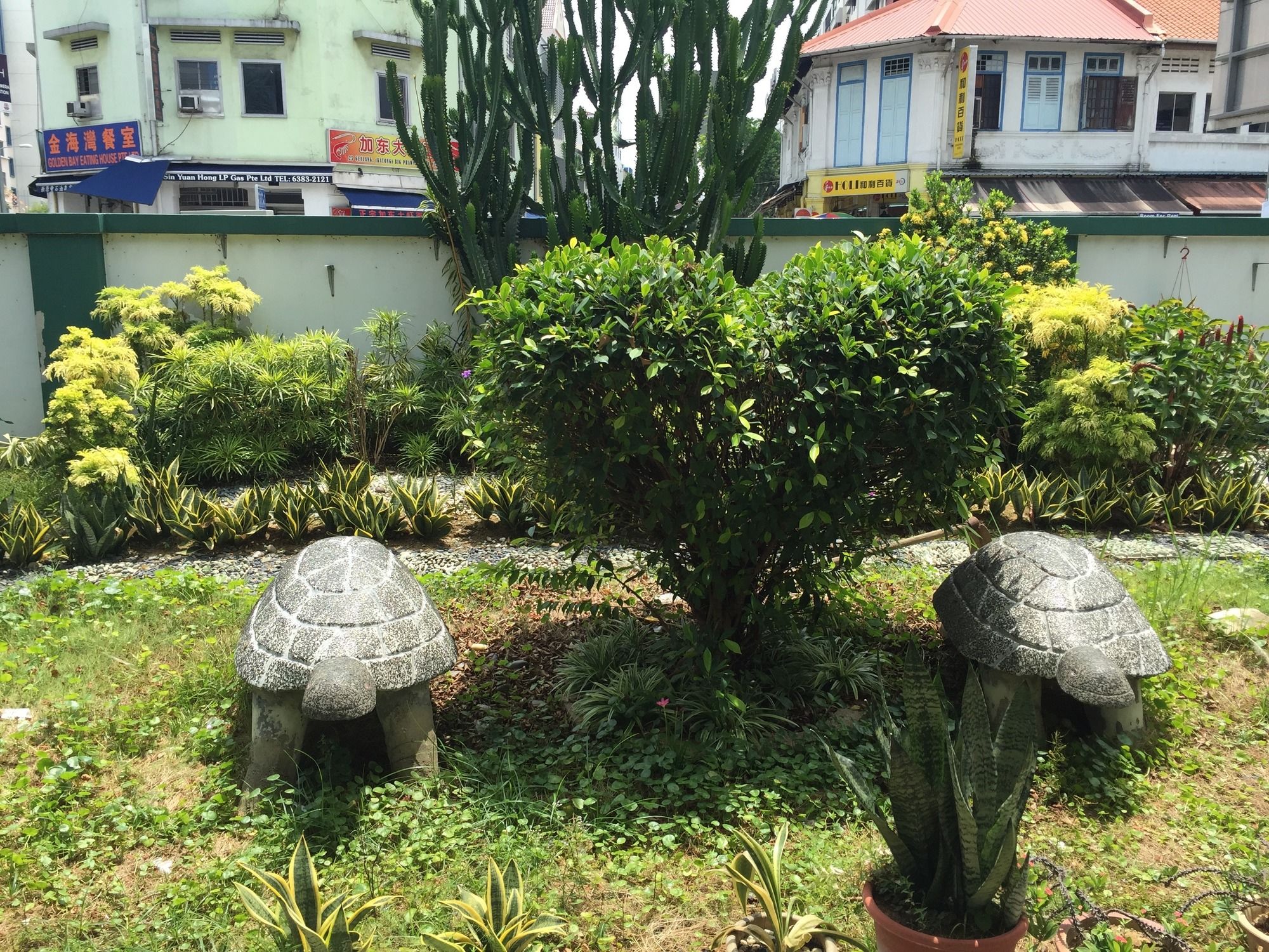 Фото отеля 5