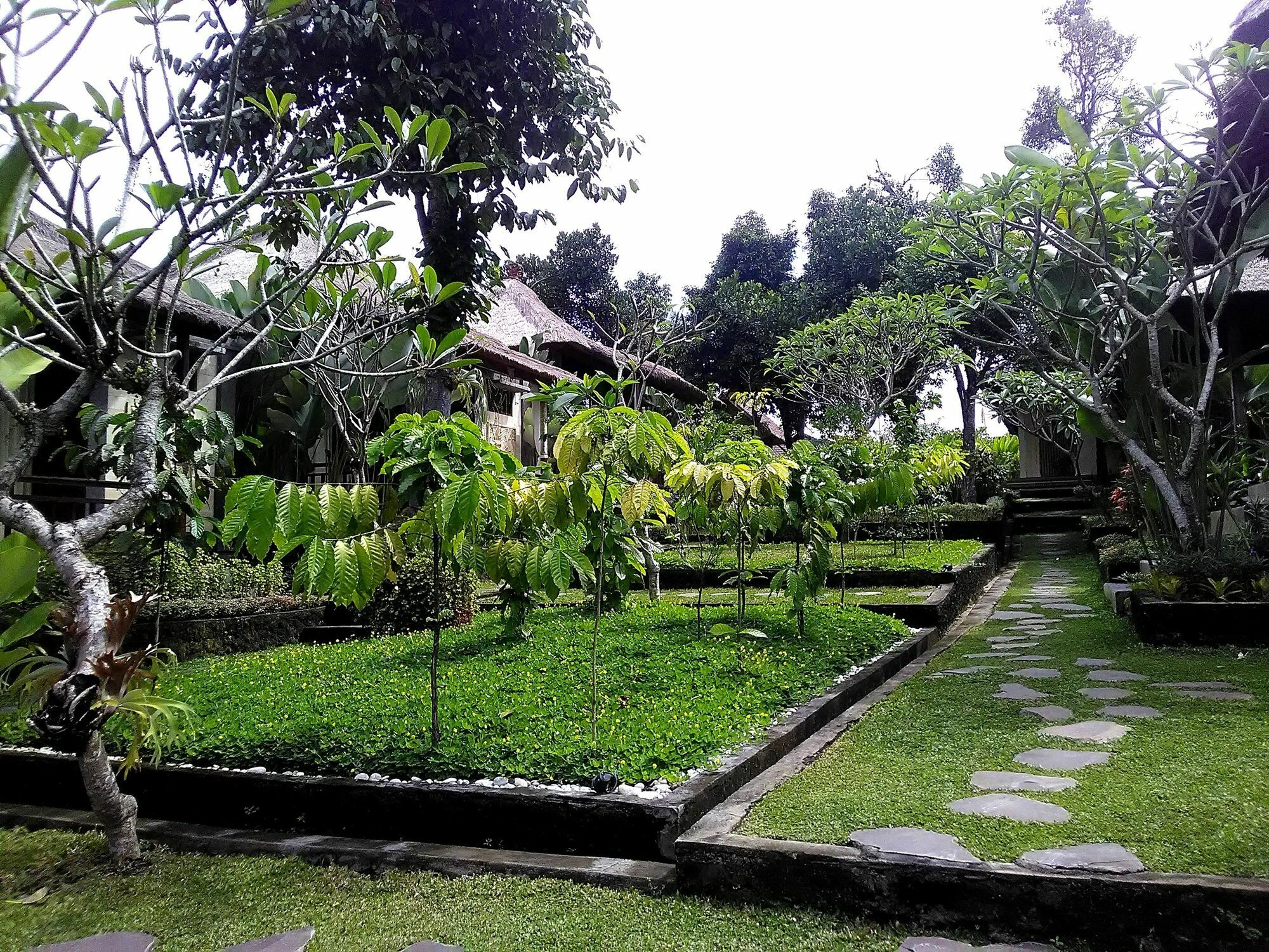 Фото Astawa House