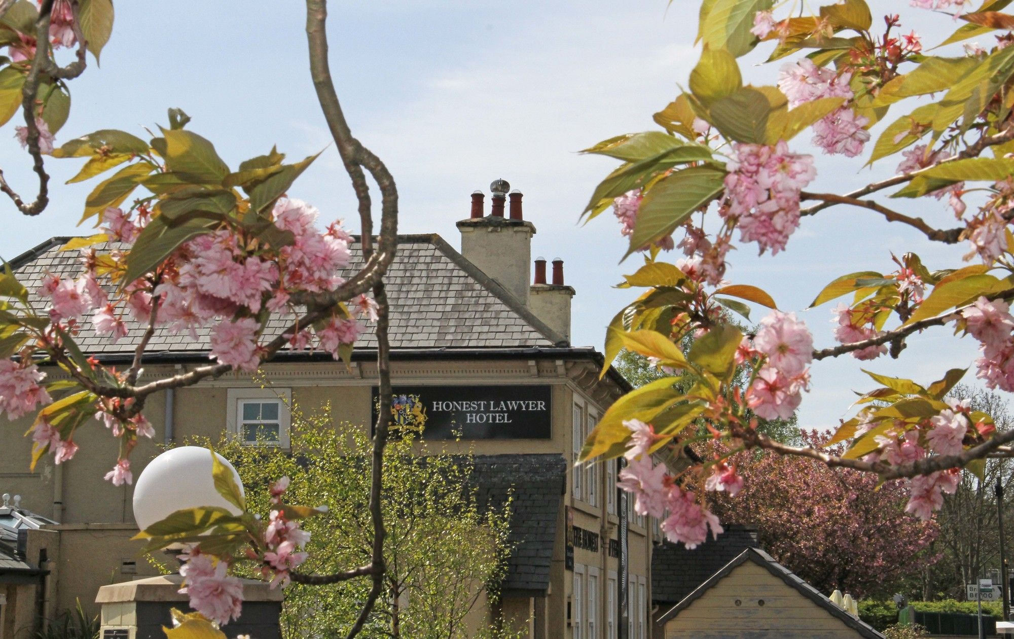 Фото Honest Lawyer Hotel