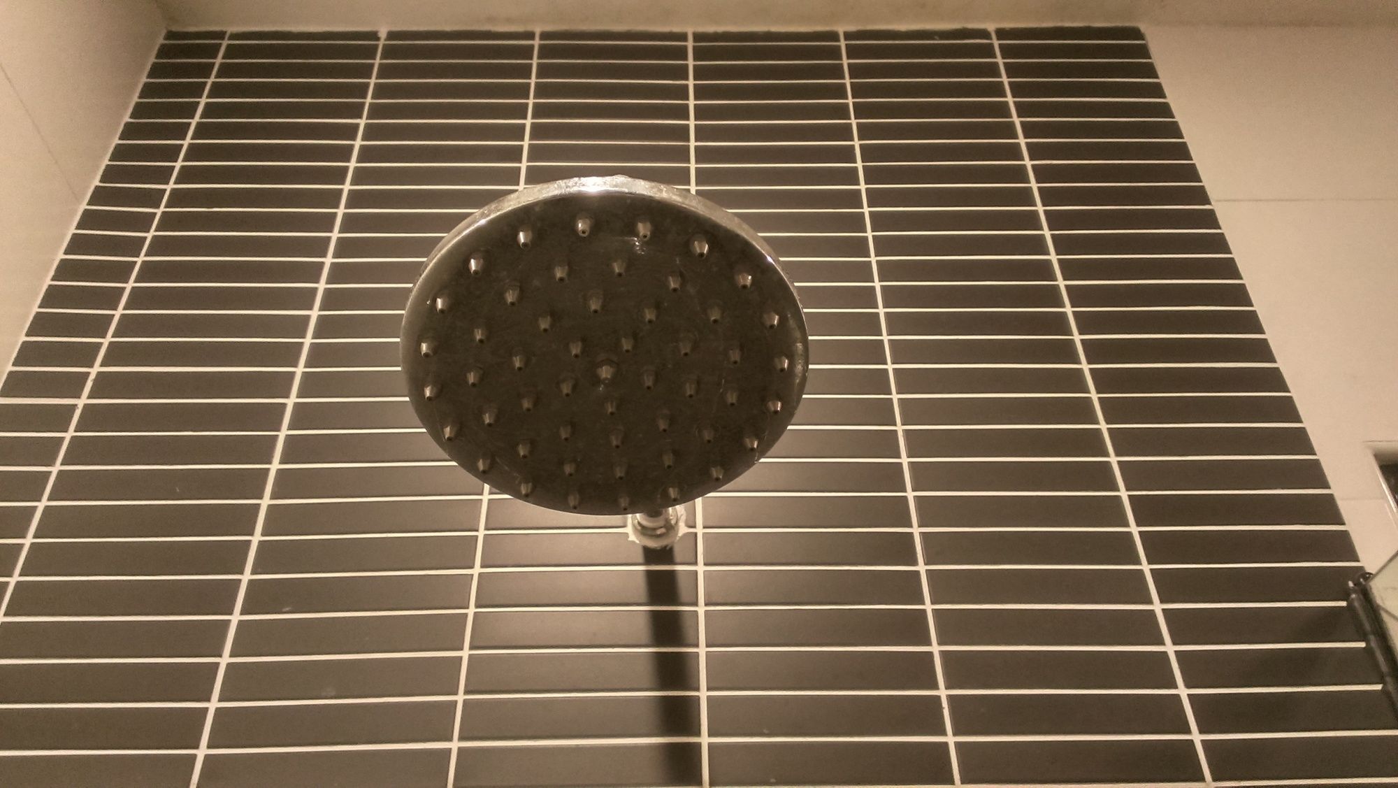 Фото Flemington Hotel