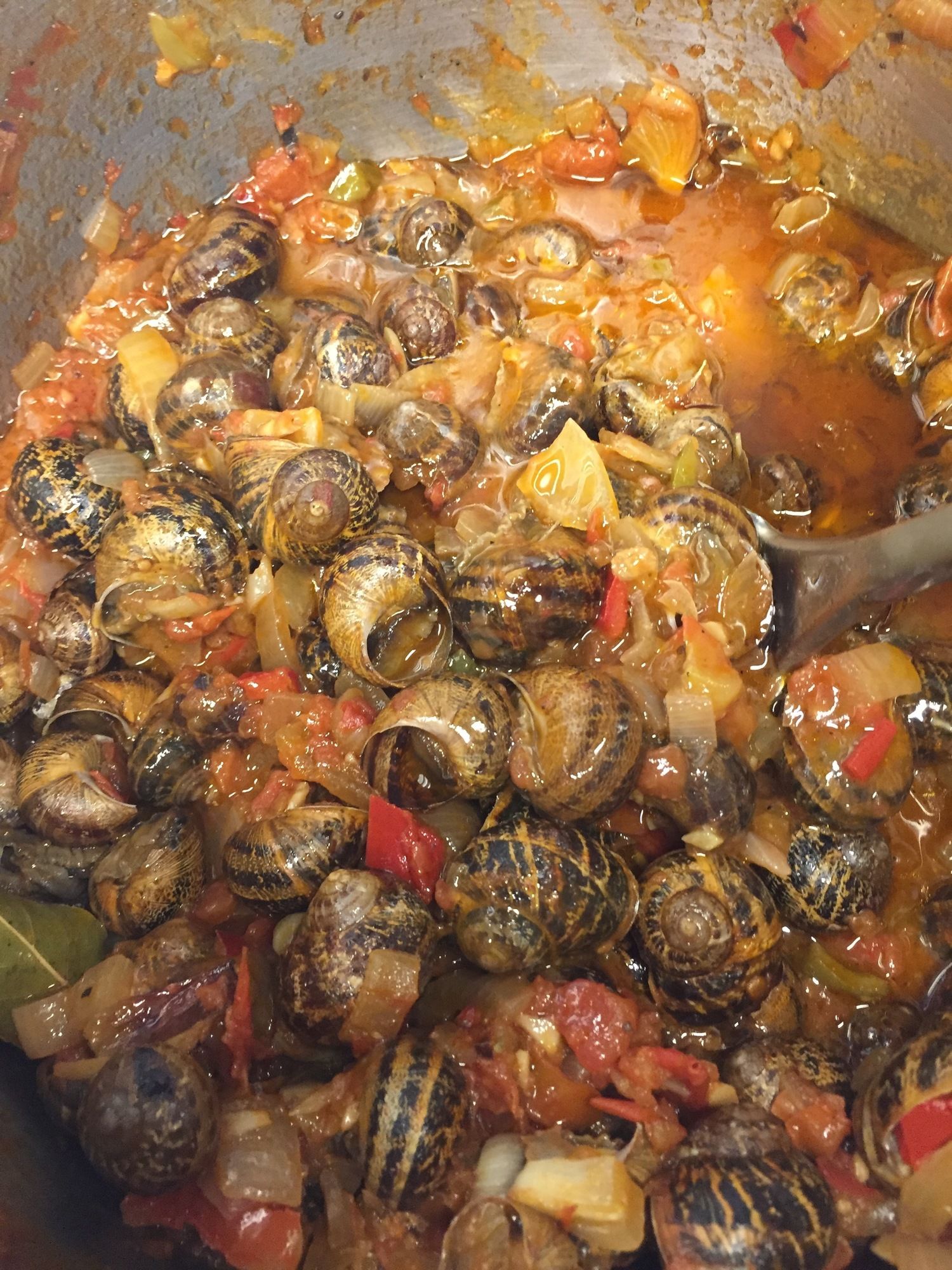 Фото Gerani Studios