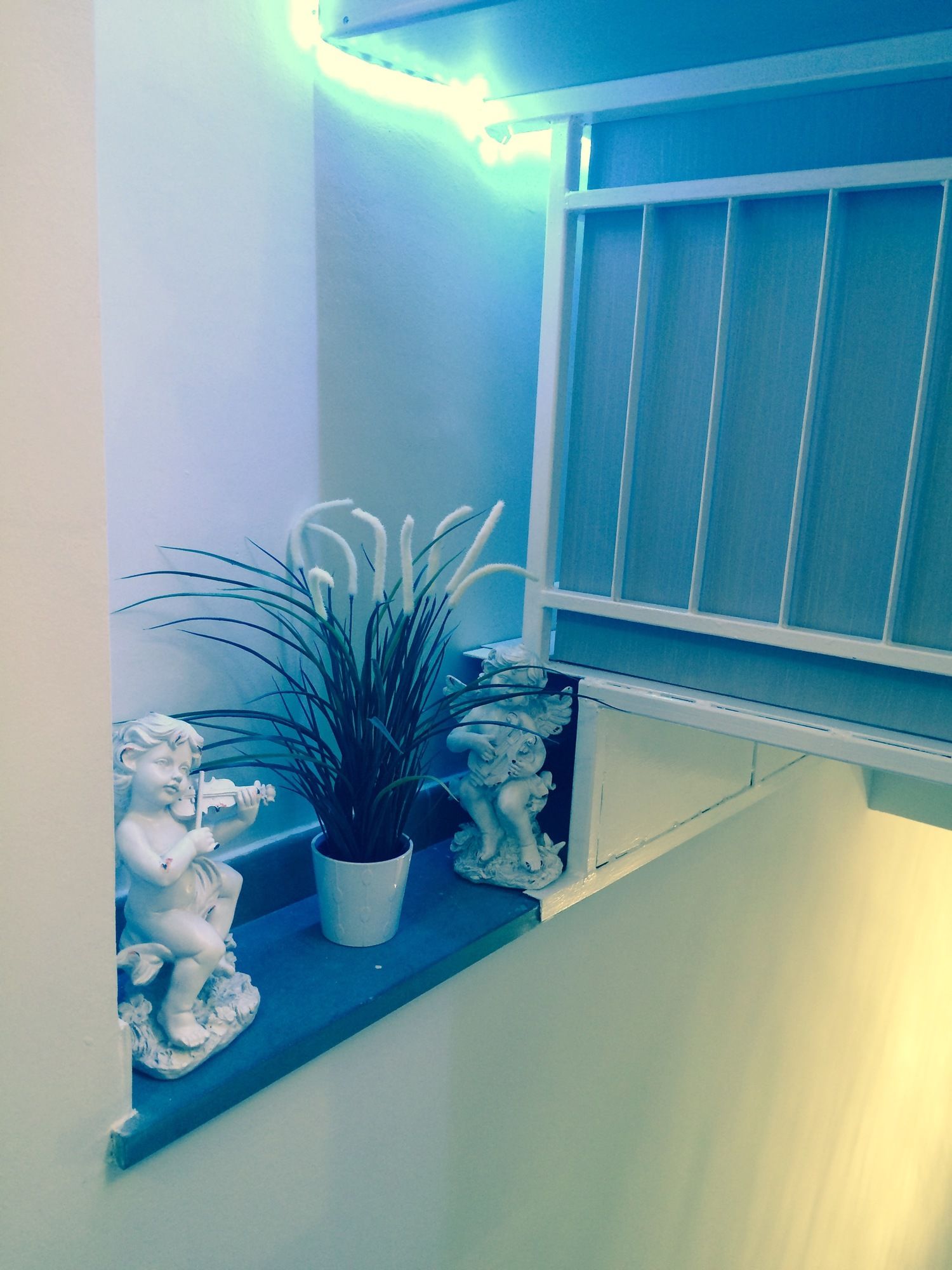 Фото Soggiorno Oblivium