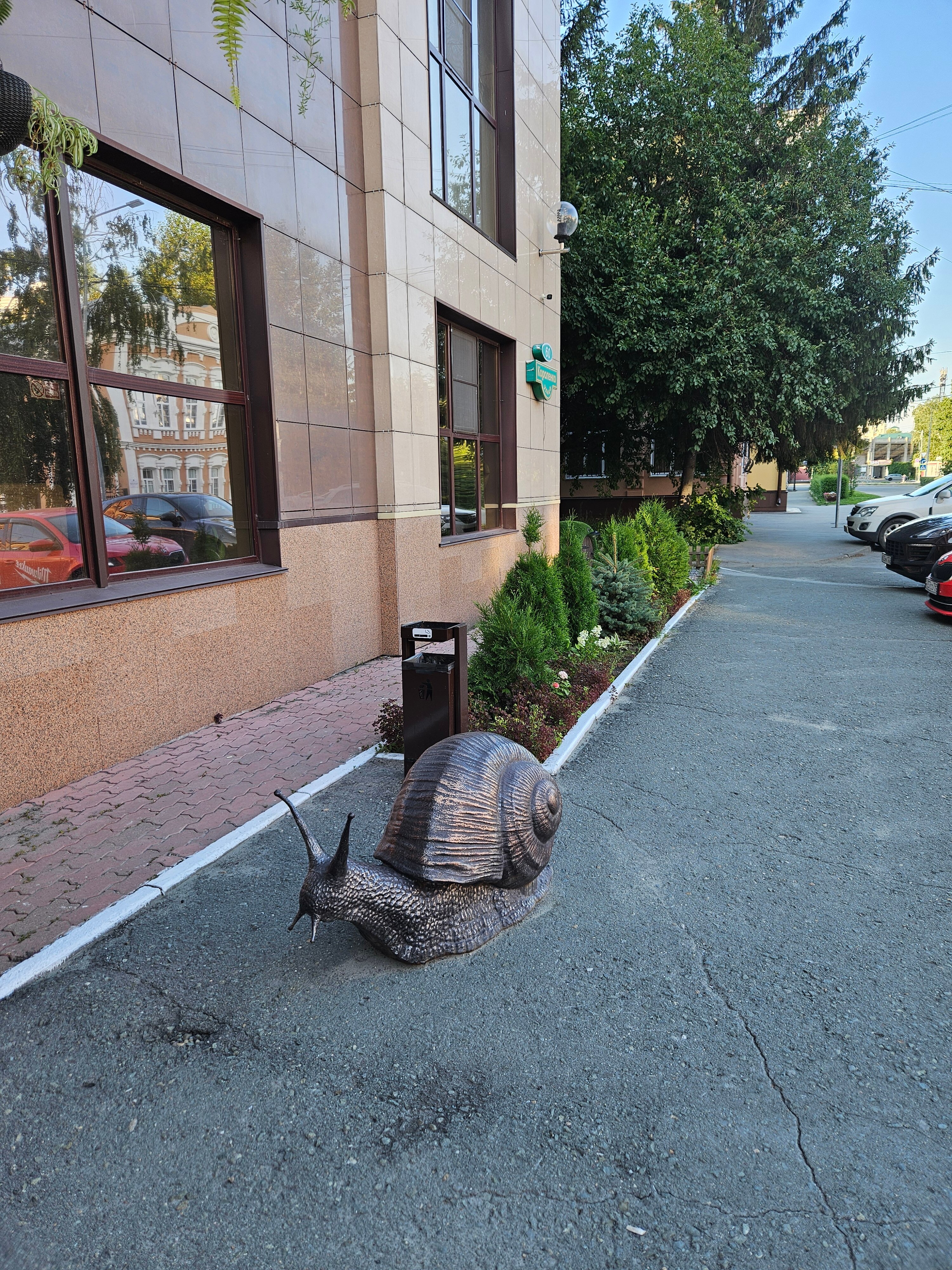 Фото Улитка