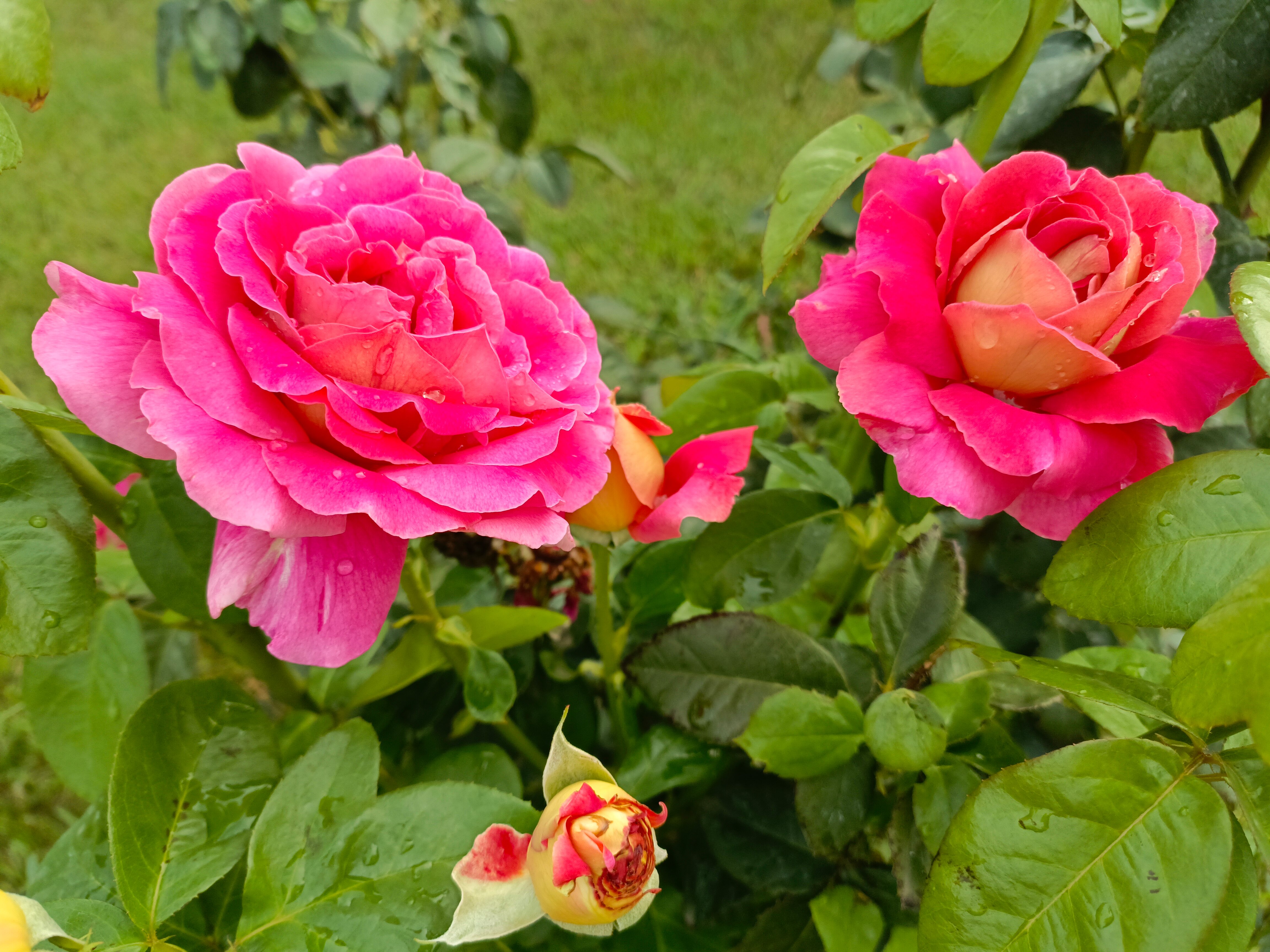 Фото Баскунчак