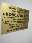 Консультант (Grazhdanskaya Street, 9), business consulting