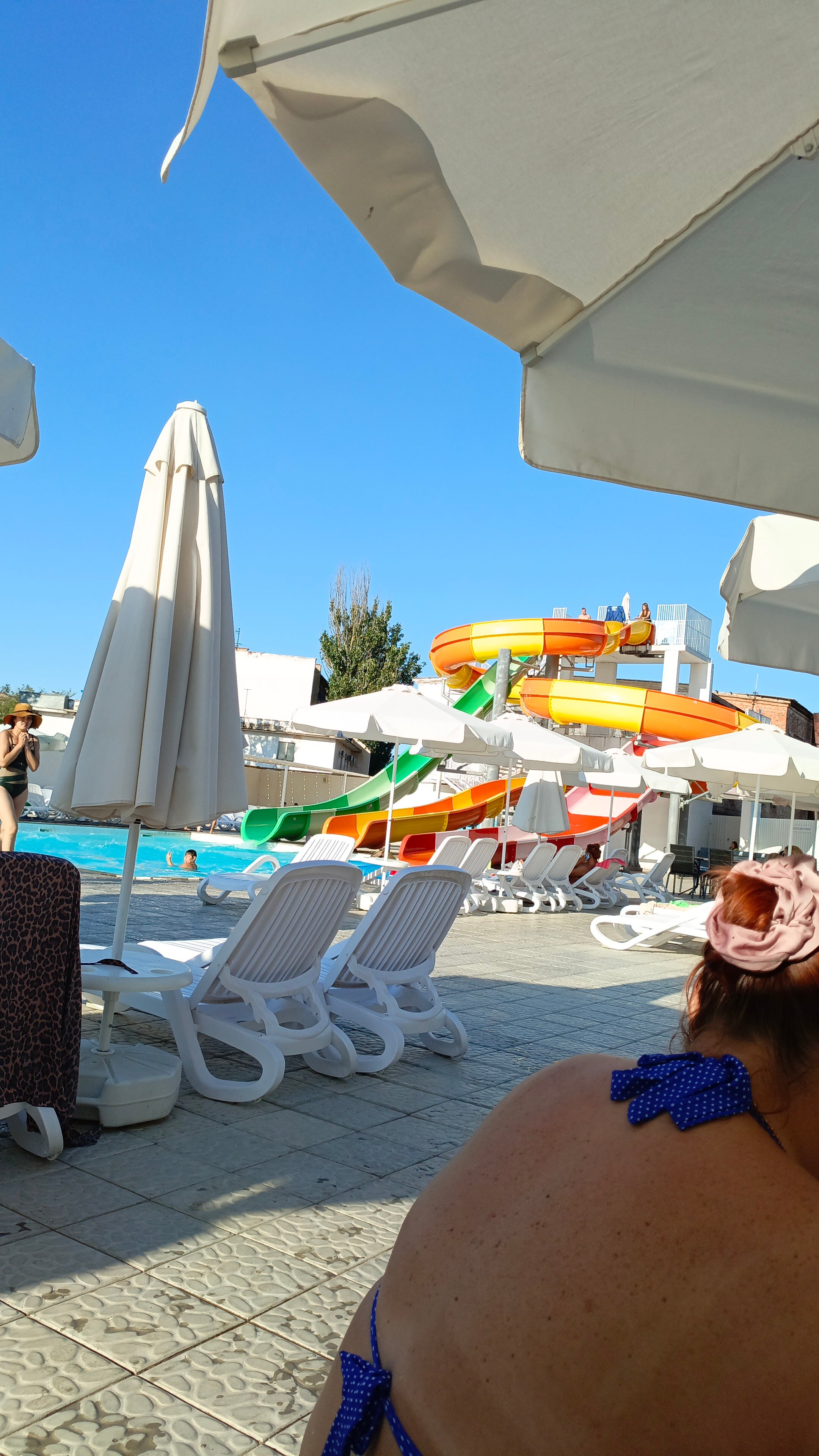 Фото Золотой Джин