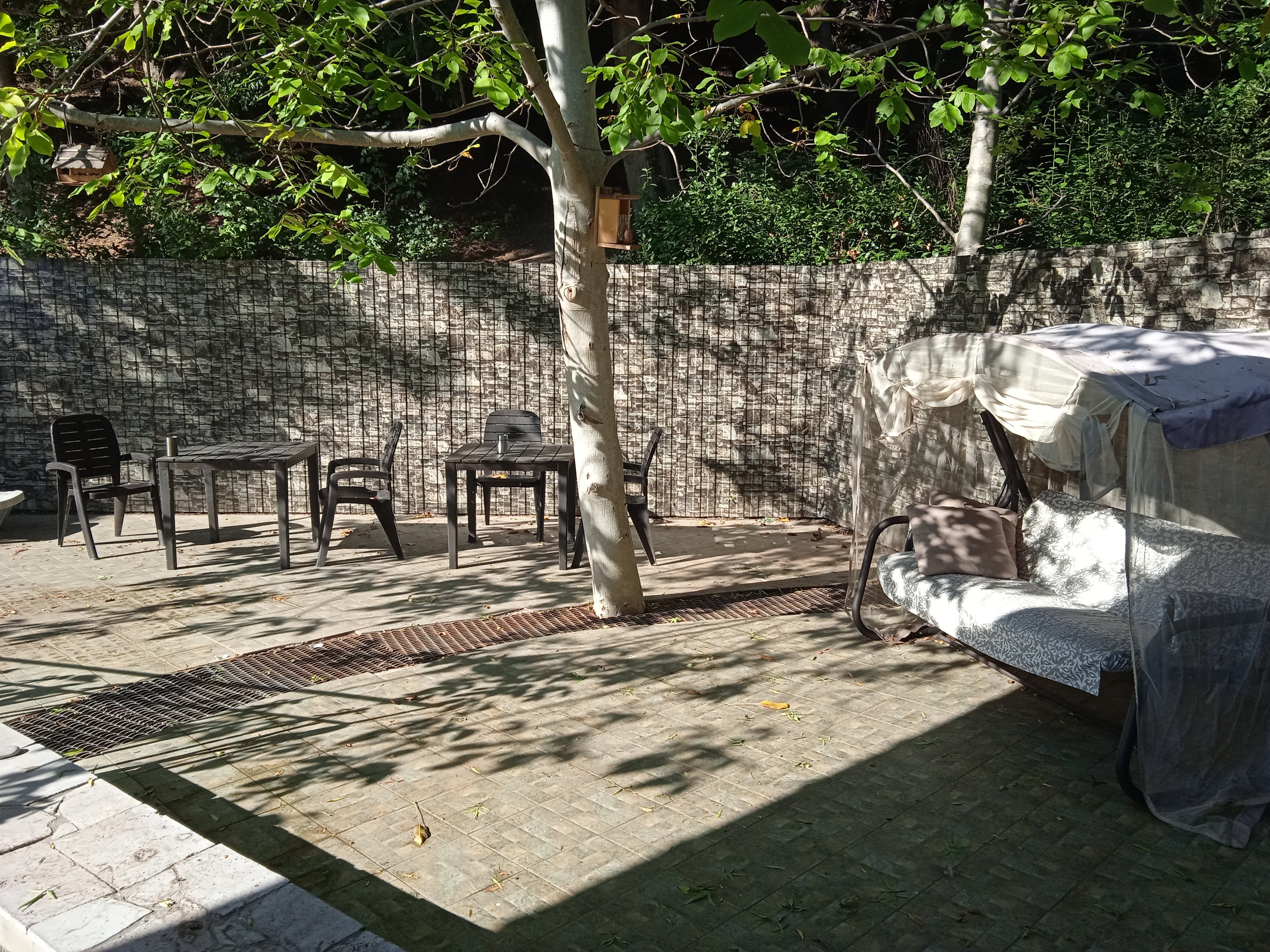 Фото Лейсан