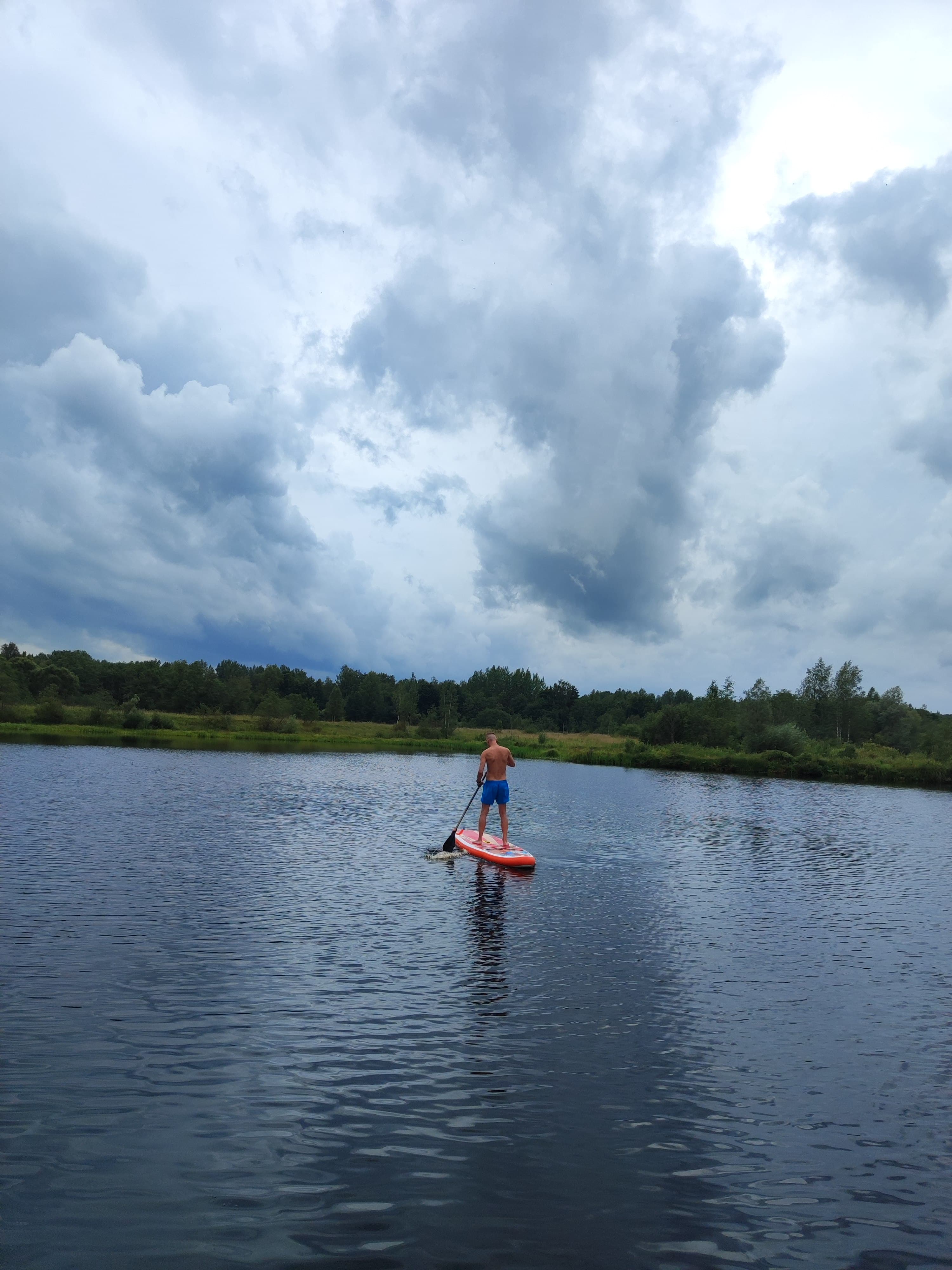 Фото Лаванда