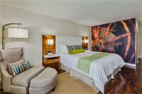 Фото Hotel Indigo Anaheim, an Ihg Hotel