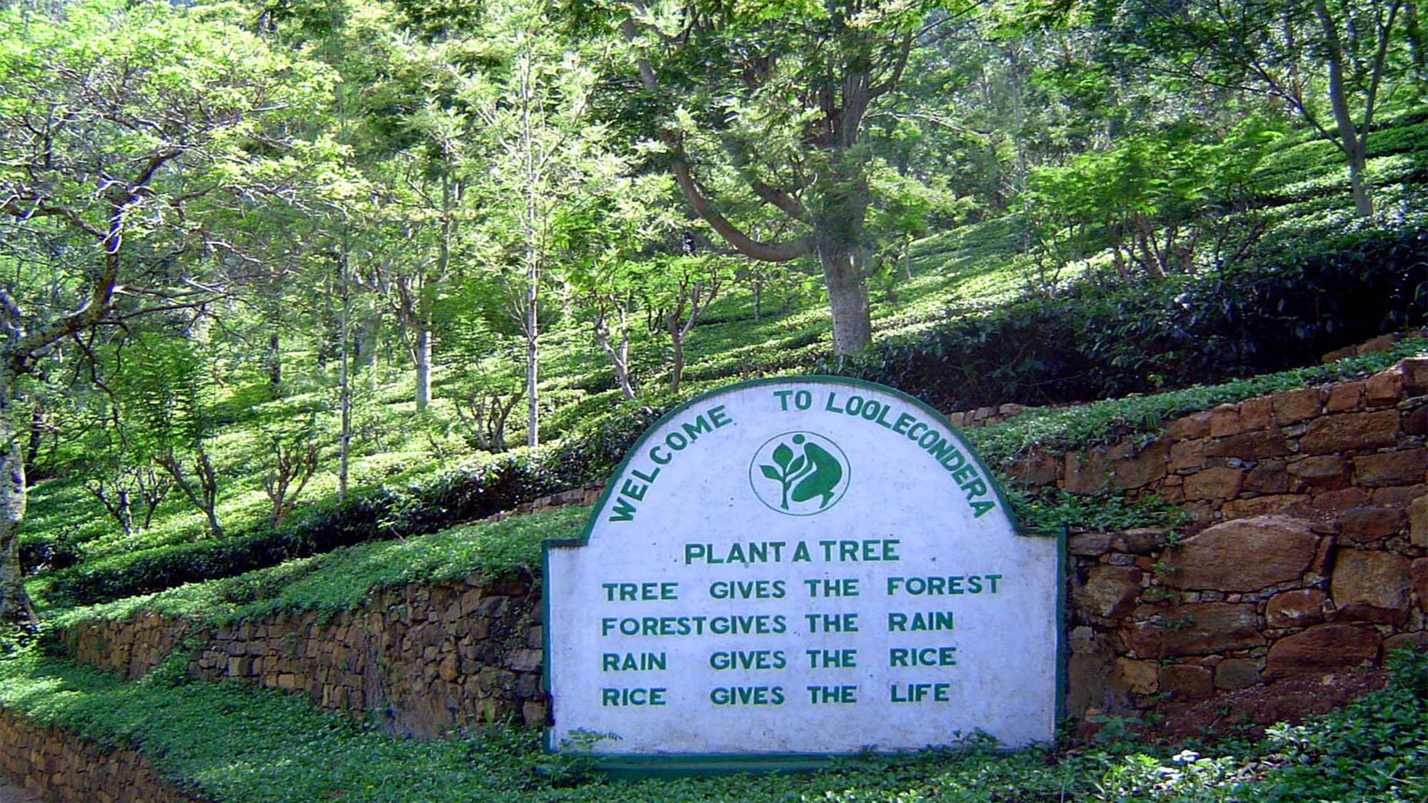 Фото Windloft Retreat