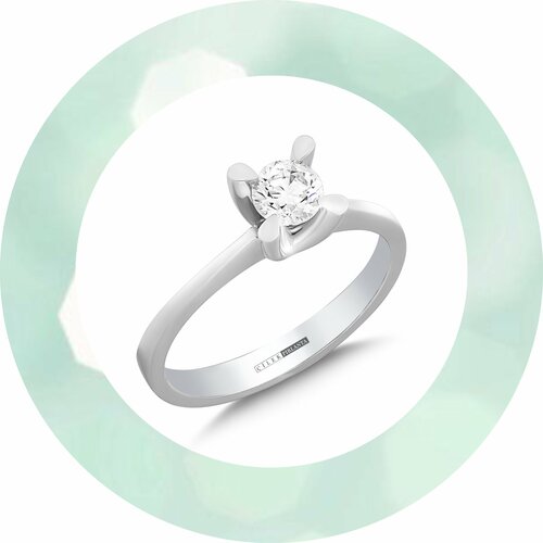 Çilek Konsept Fotoğraf 3