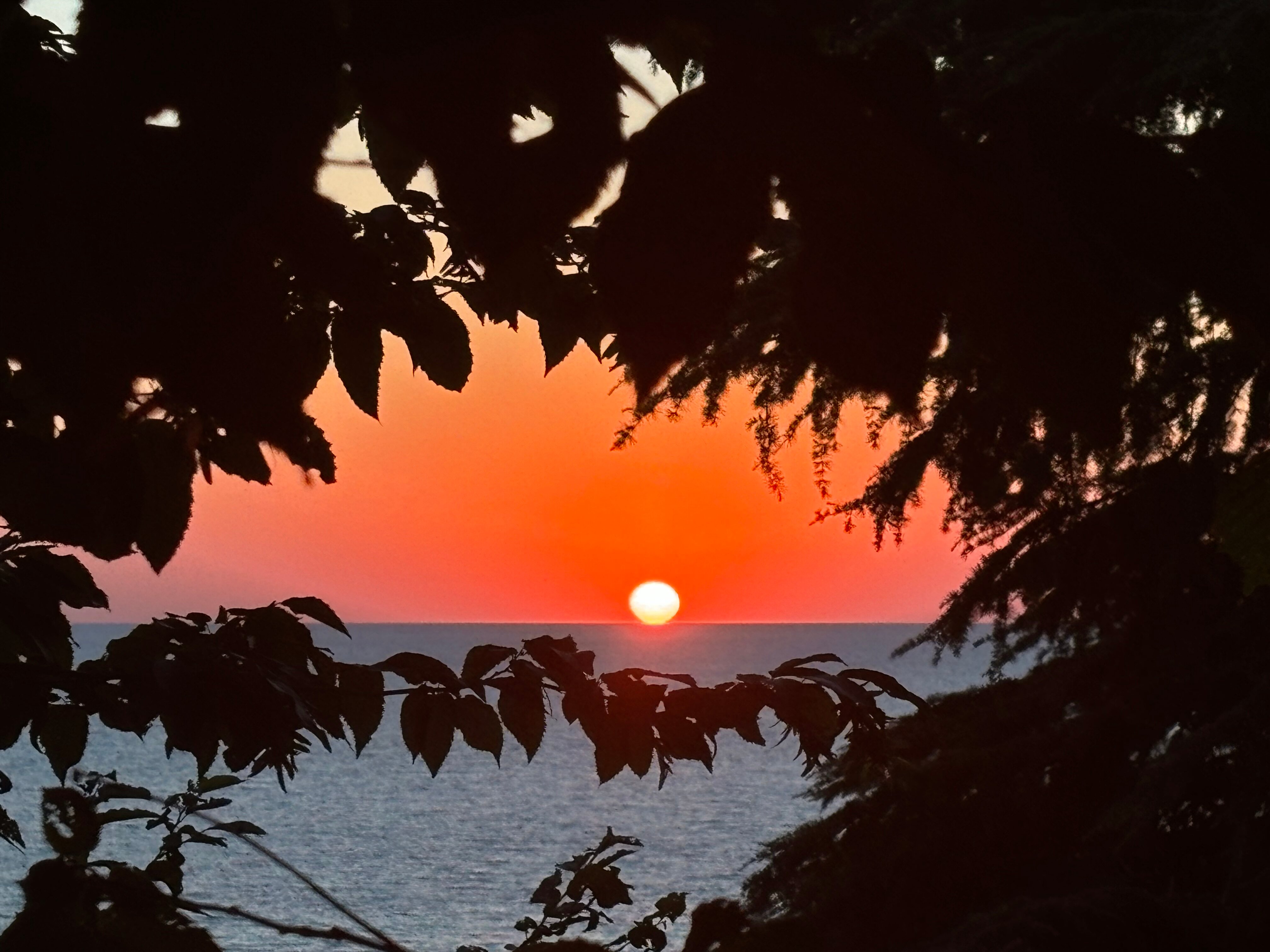 Фото Сосновый Бор