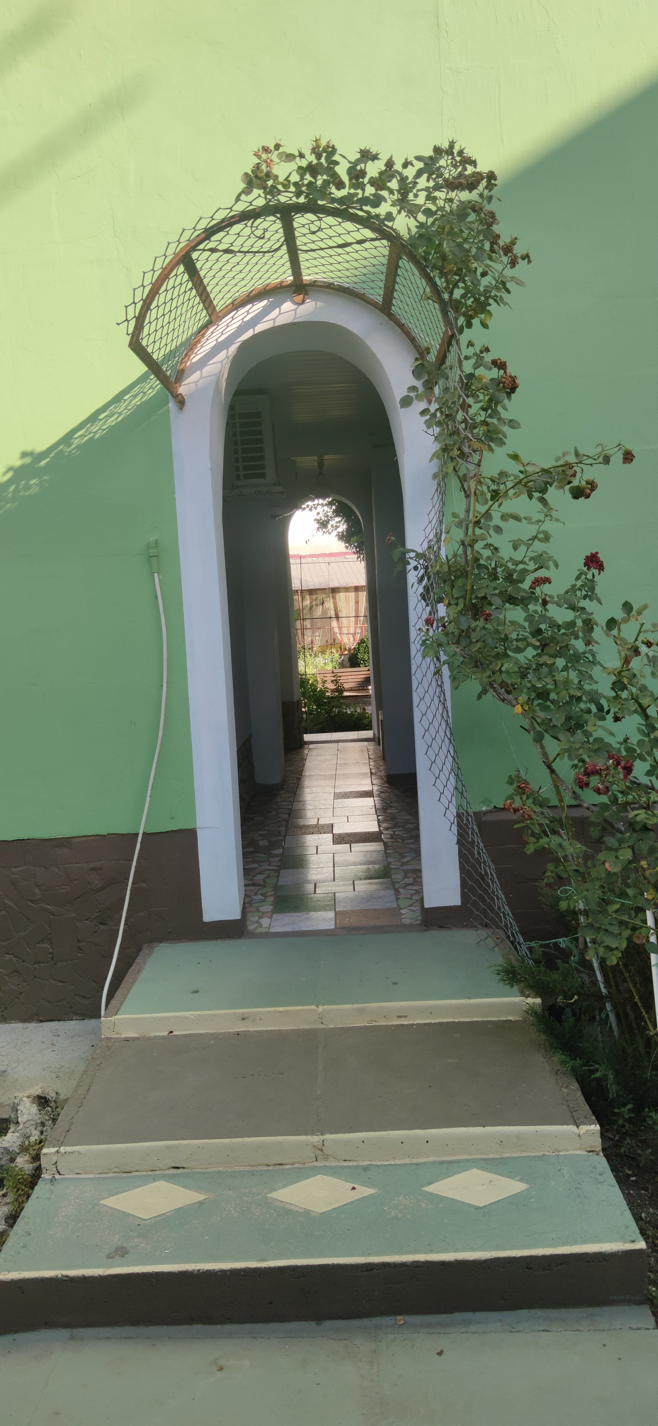 Фото Зеленый дом у маяка