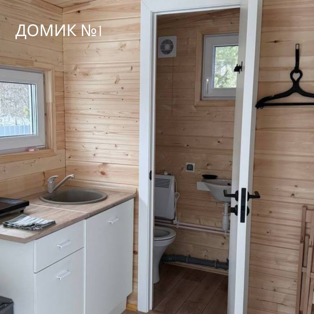 Фото Forest time