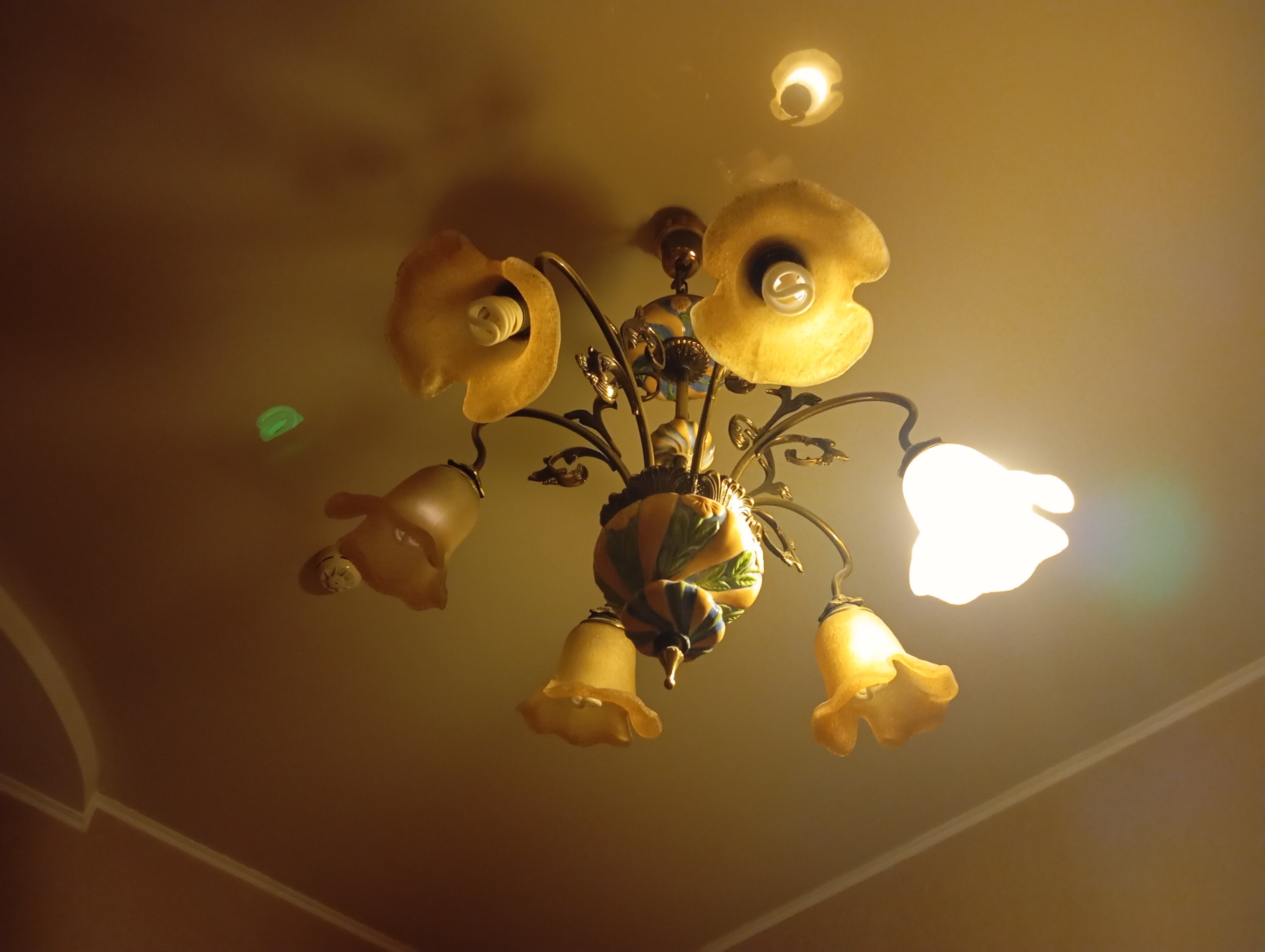 Фото Астерия