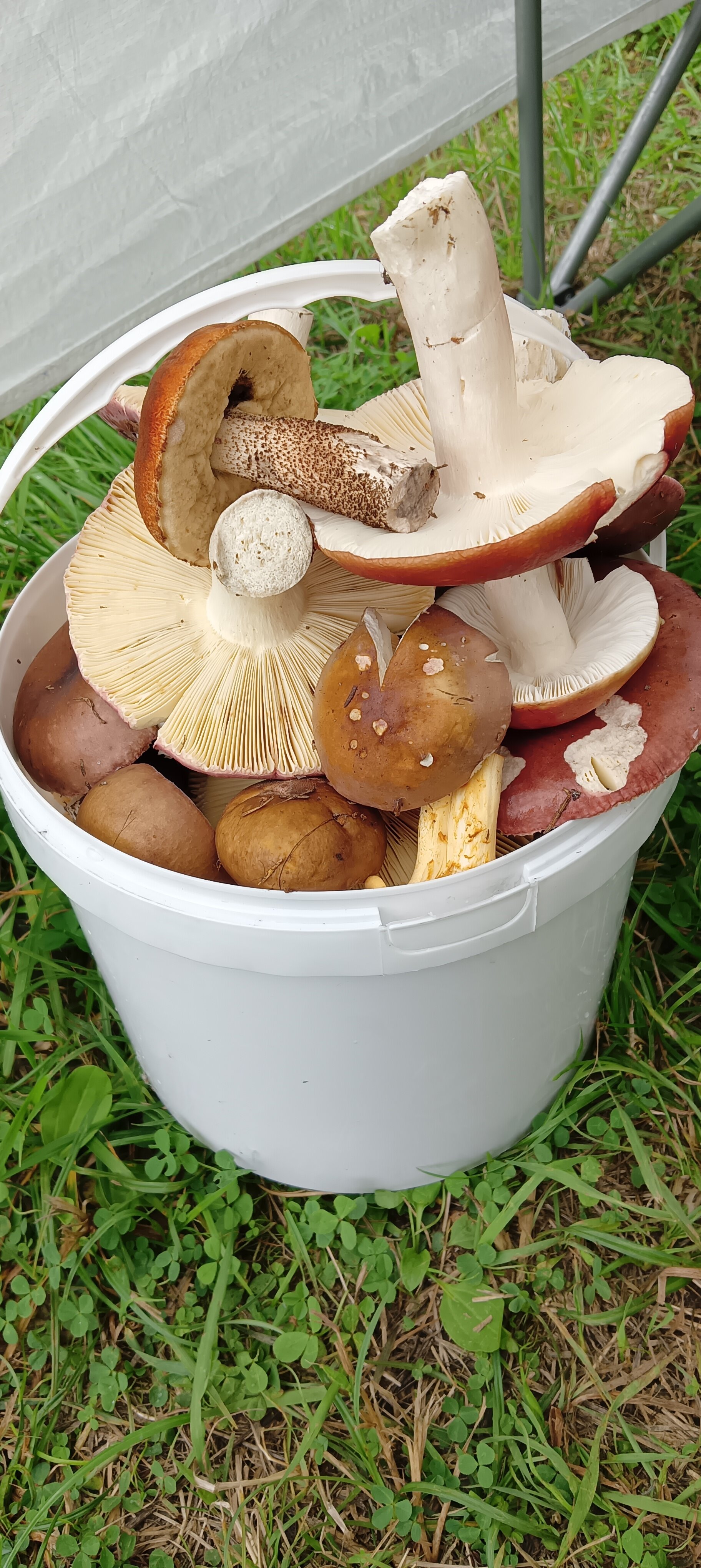 Фото Лесной скит