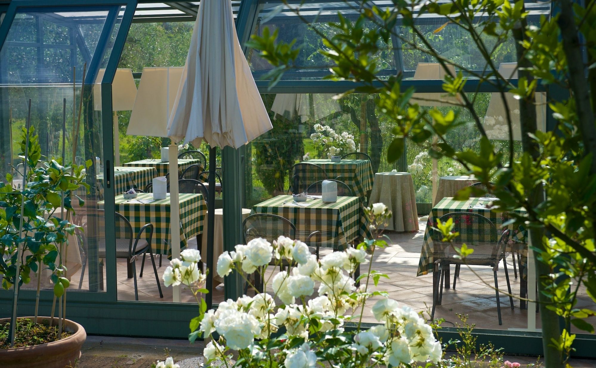 Фото Villa Borgo San Pietro