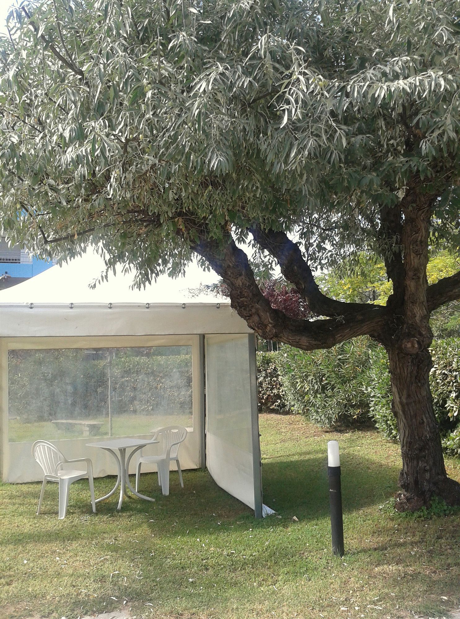 Фото Hotel Britannia