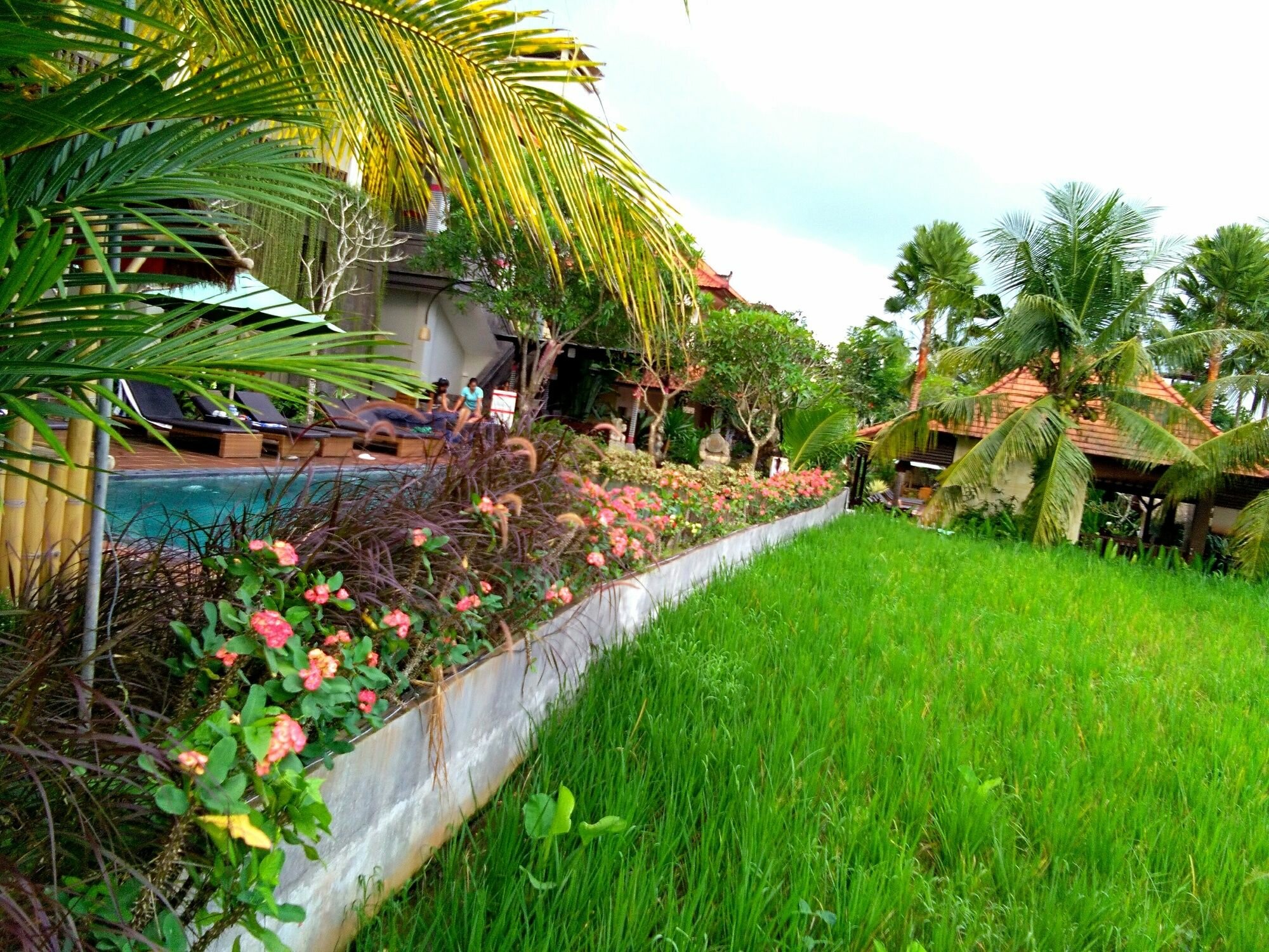 Фото Artini Bisma Ubud Hotel