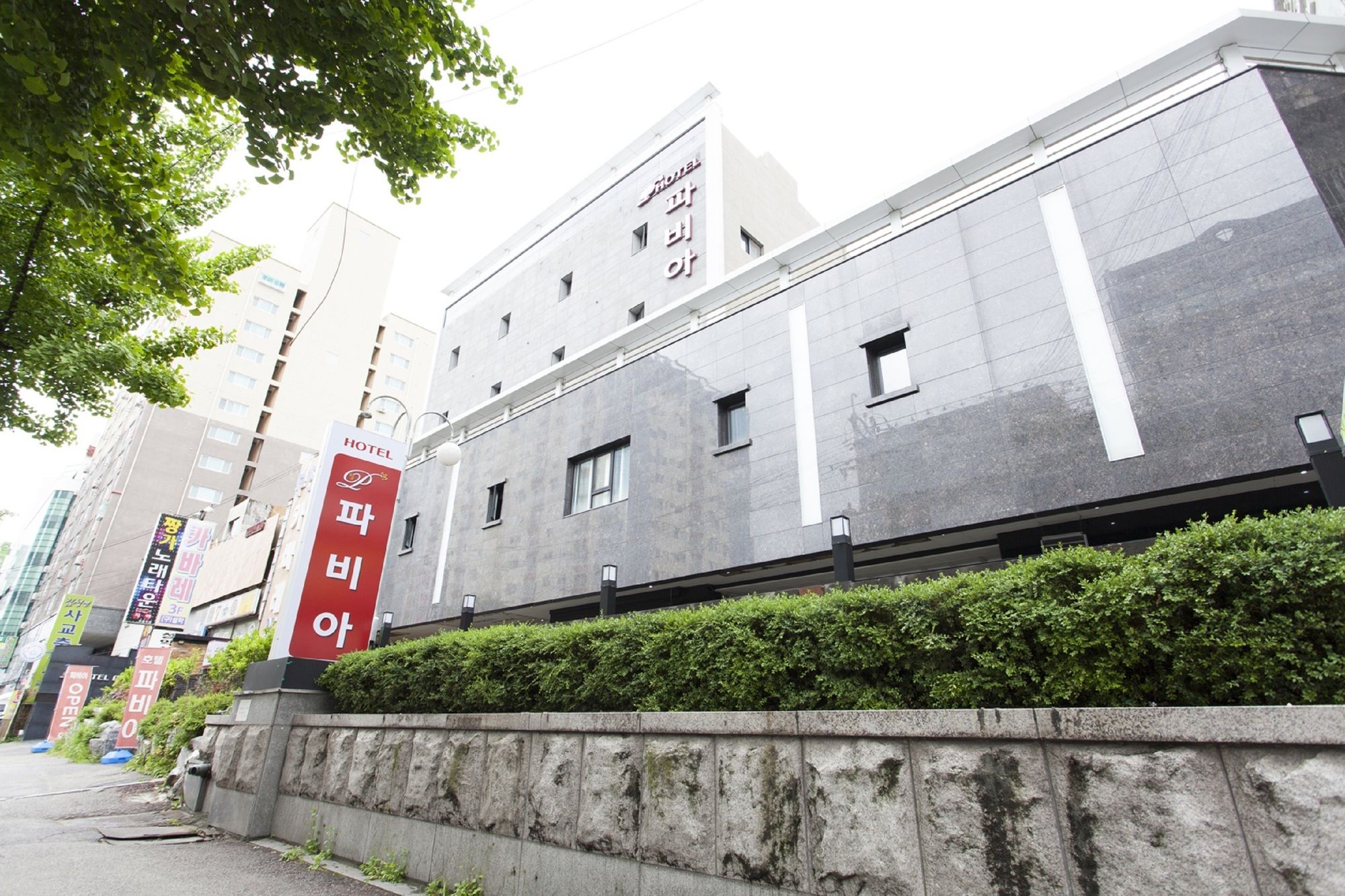 Фото Hotel Pavia