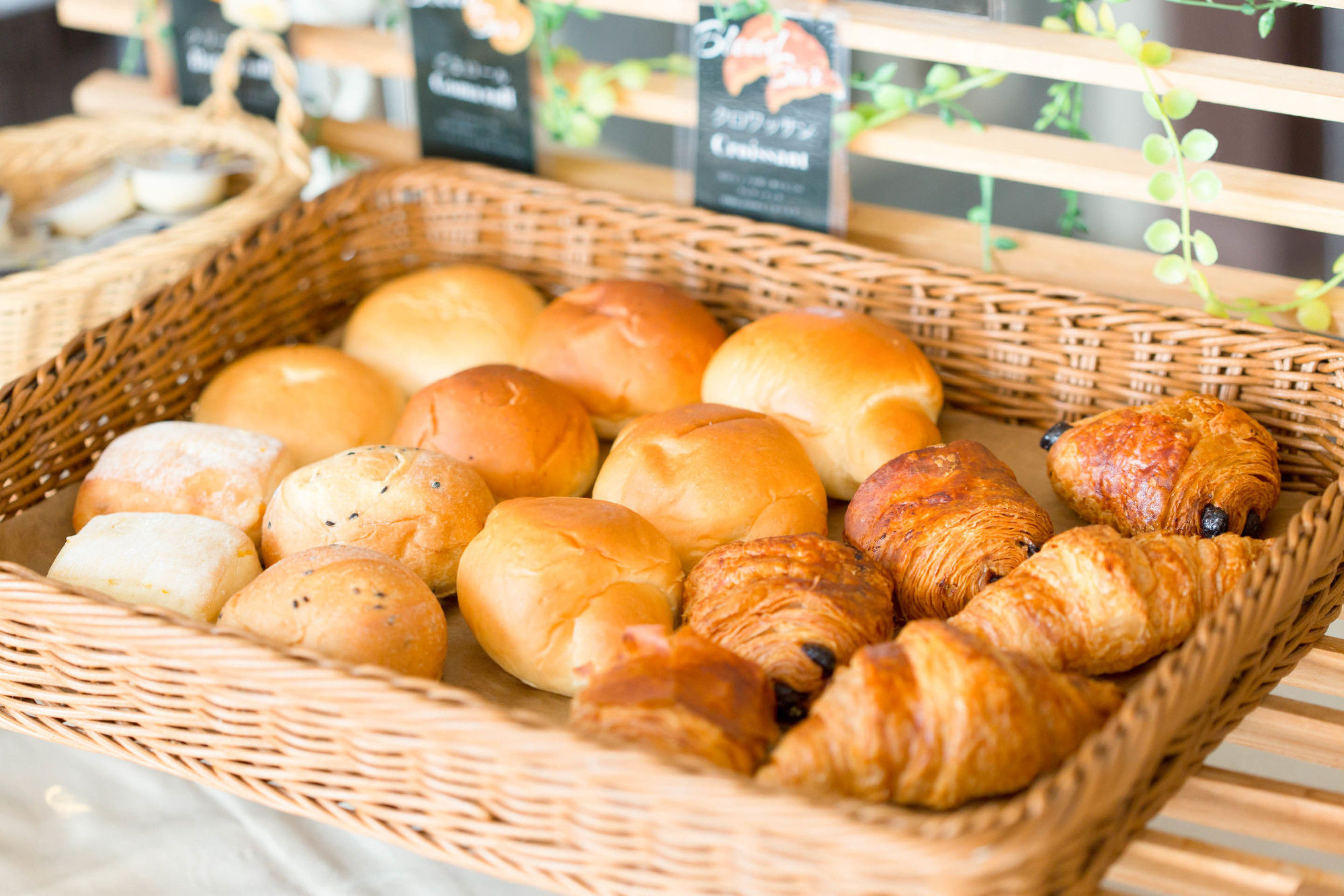 Фото Hotel Areaone Hakata