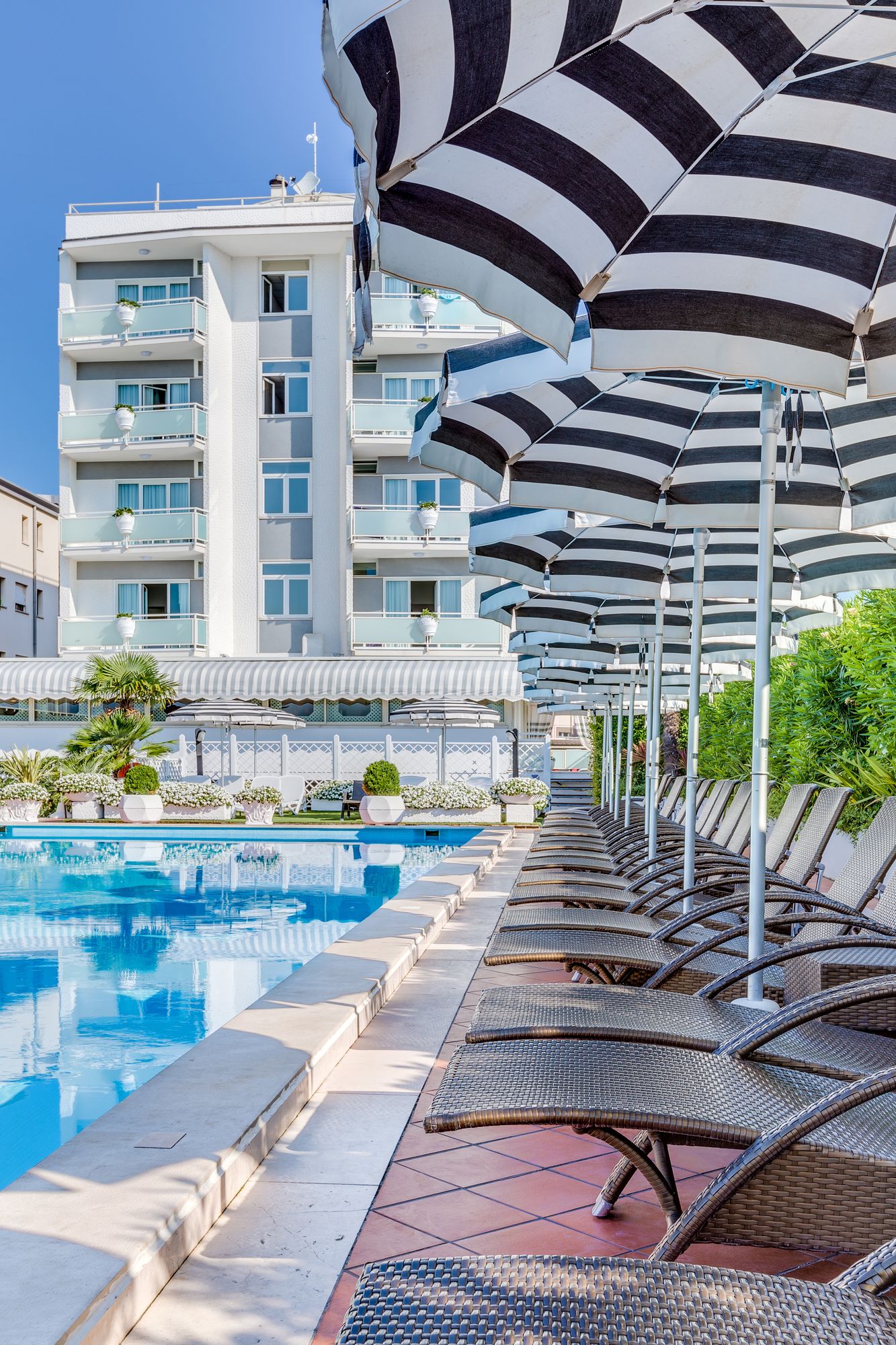 Фото Hotel delle Rose