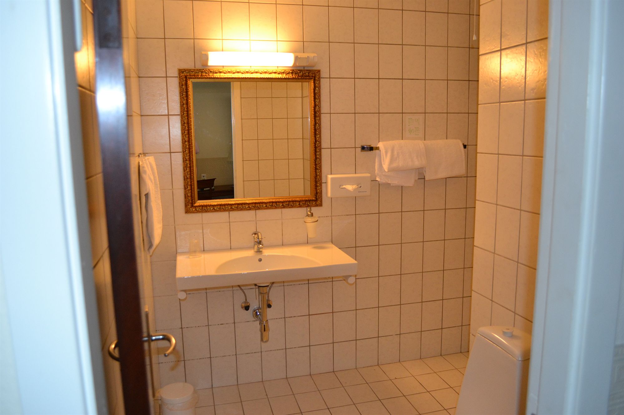 Фото Milling Hotel Saxildhus