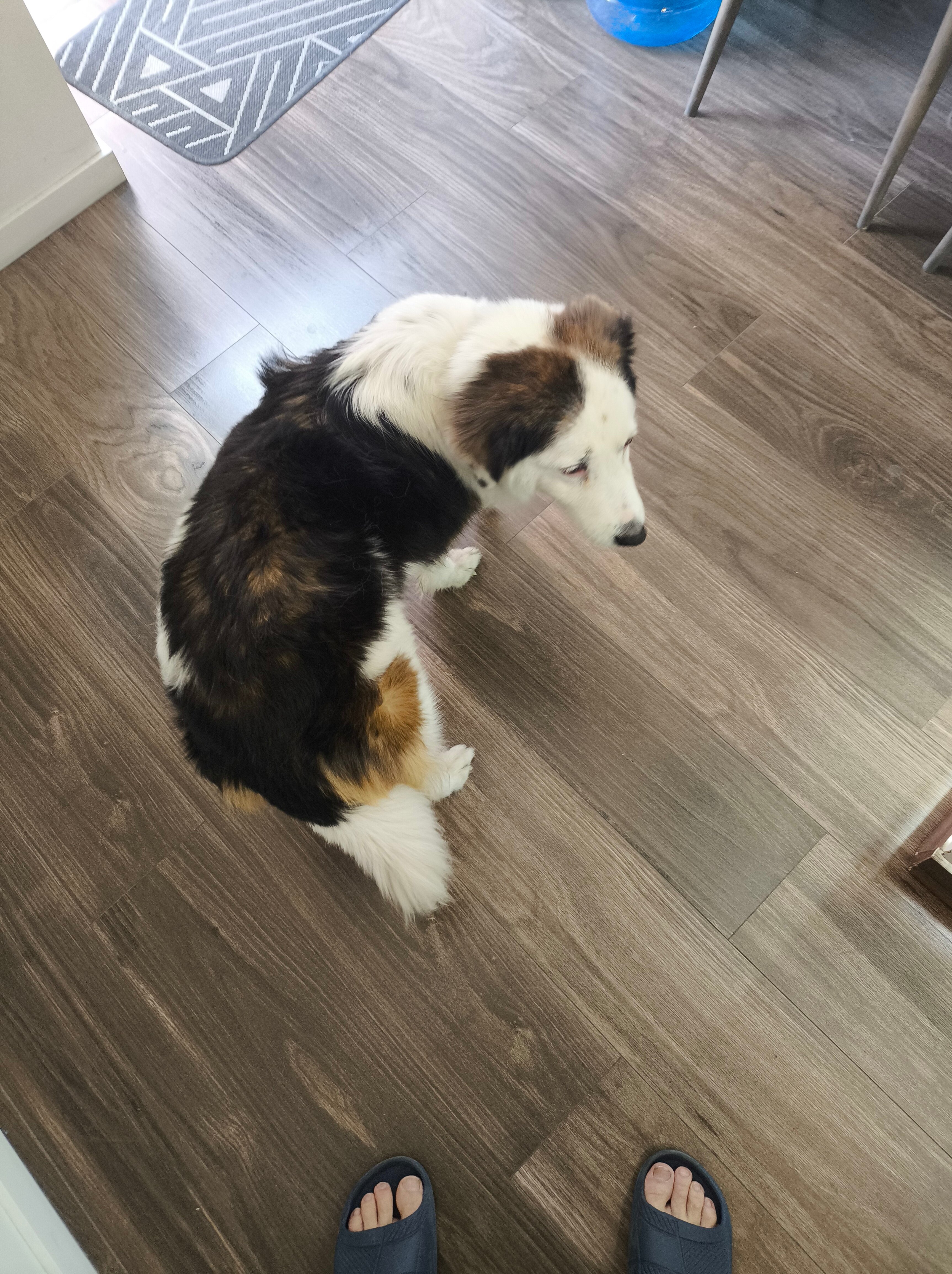 Фото Август inn