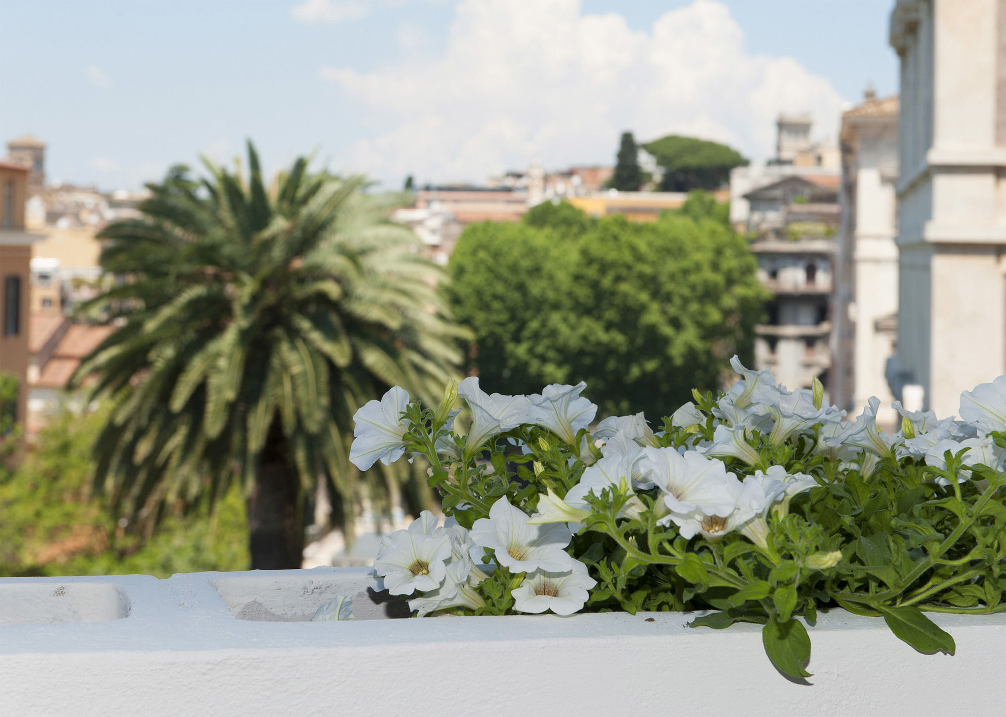 Фото Terrazza Marco Antonio Luxury Suite Rome