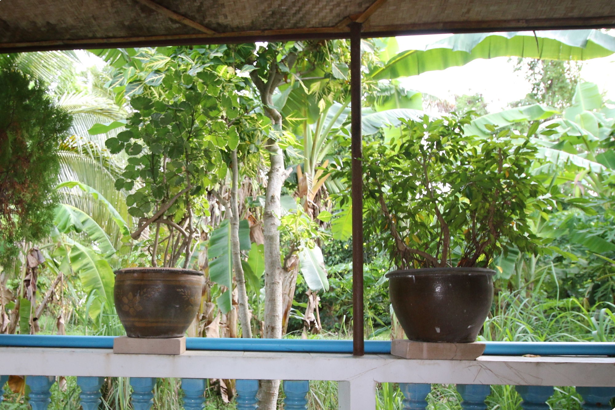 Фото Ya Nui Resort