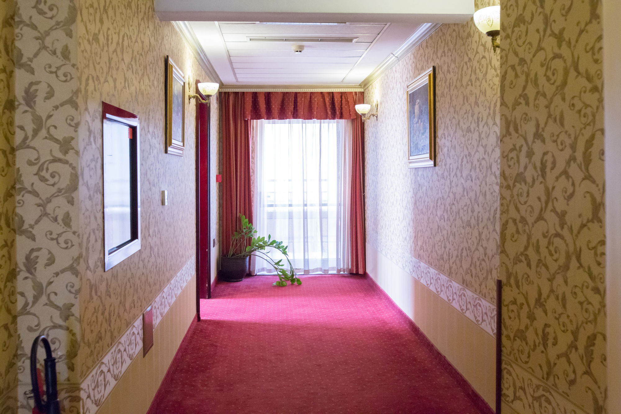 Фото Boutique Splendid Hotel