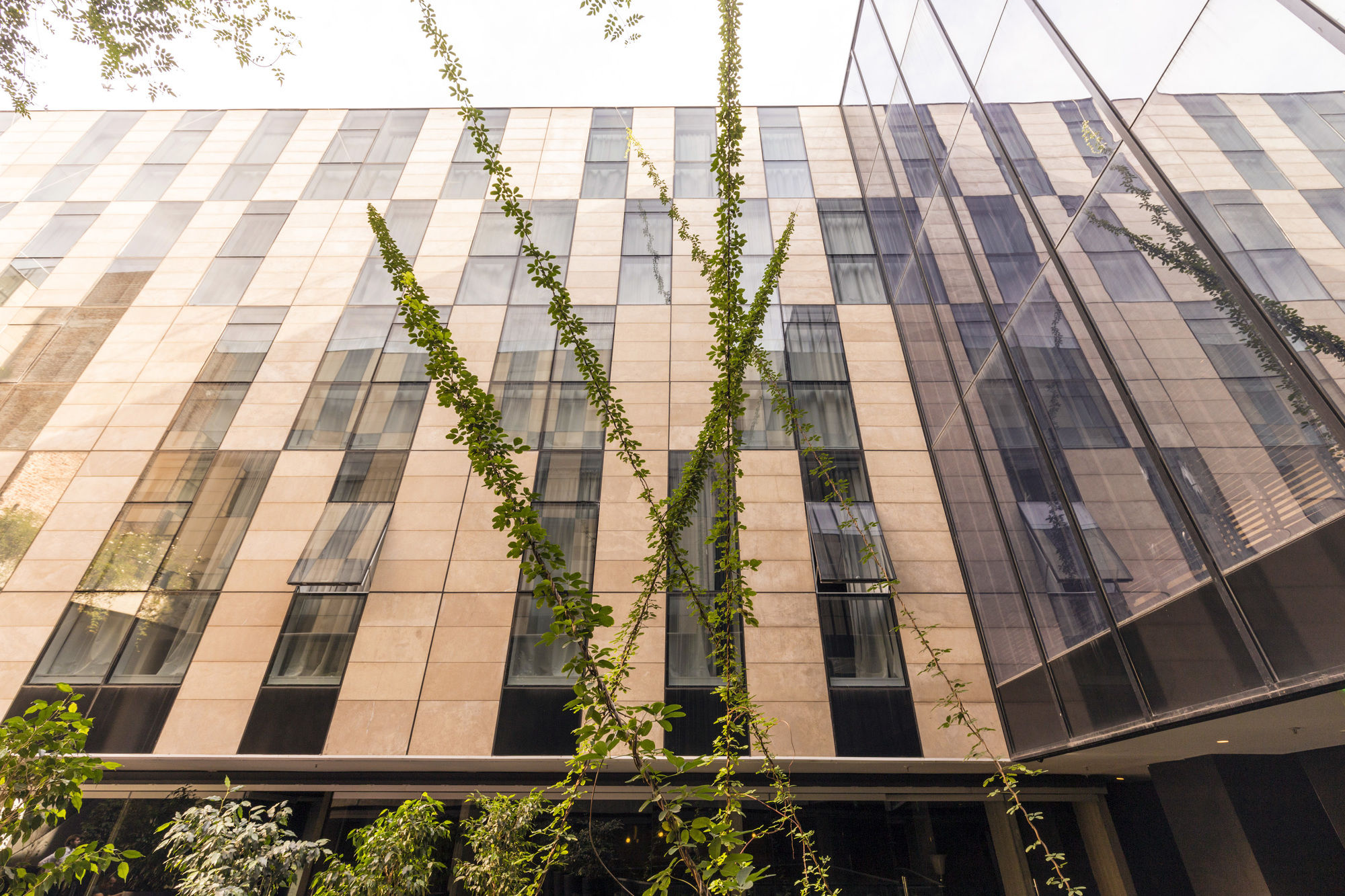 Фото Anselmo Buenos Aires Curio Collection by Hilton