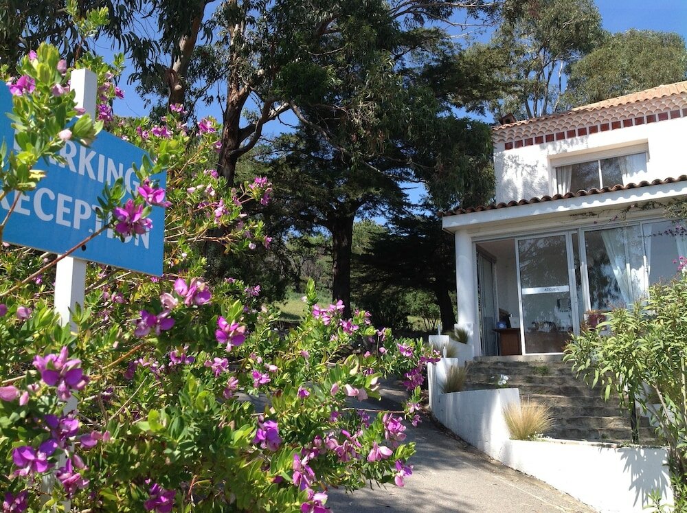 Фото 239591915500