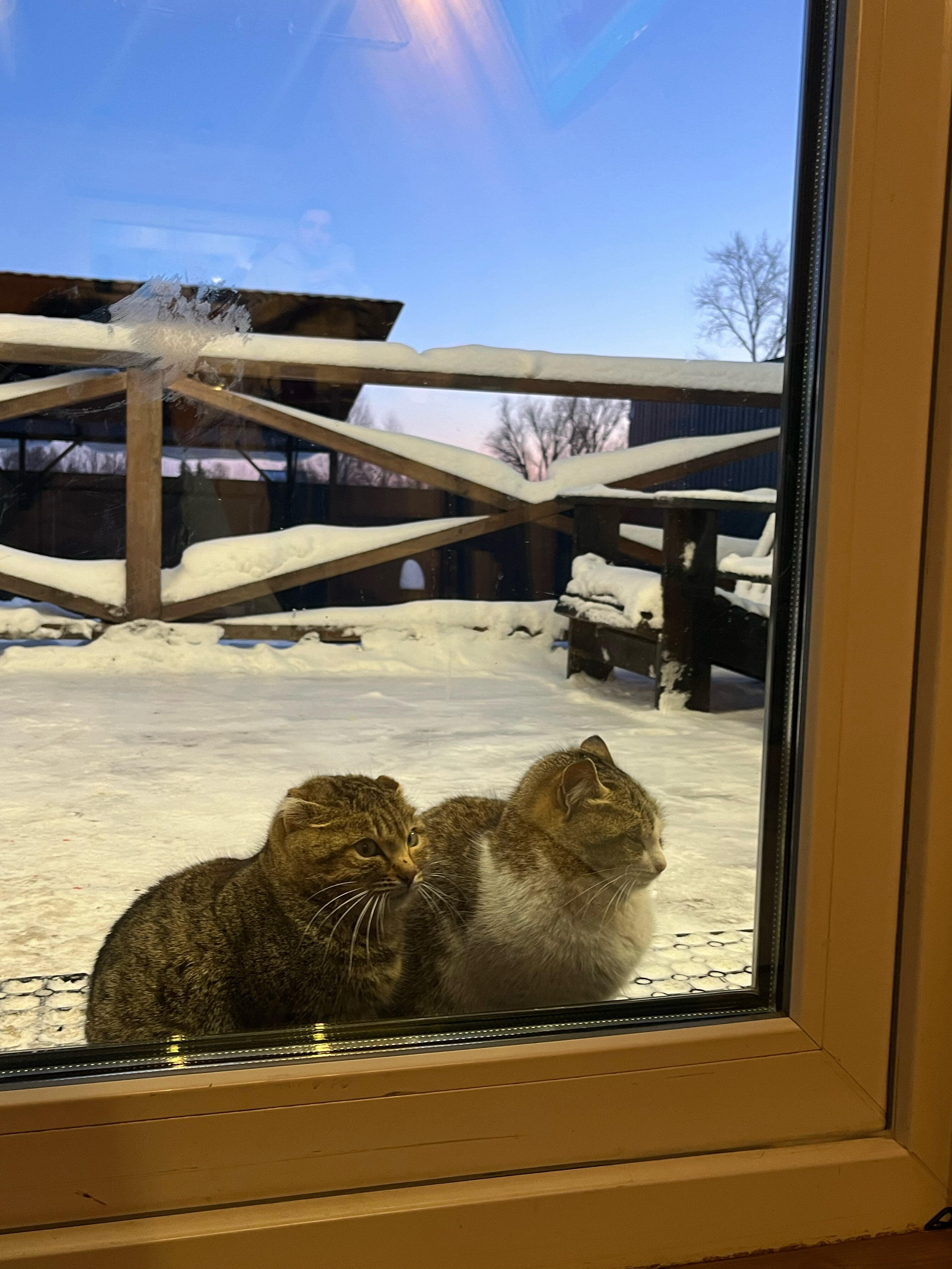 Фото Ял Хоум