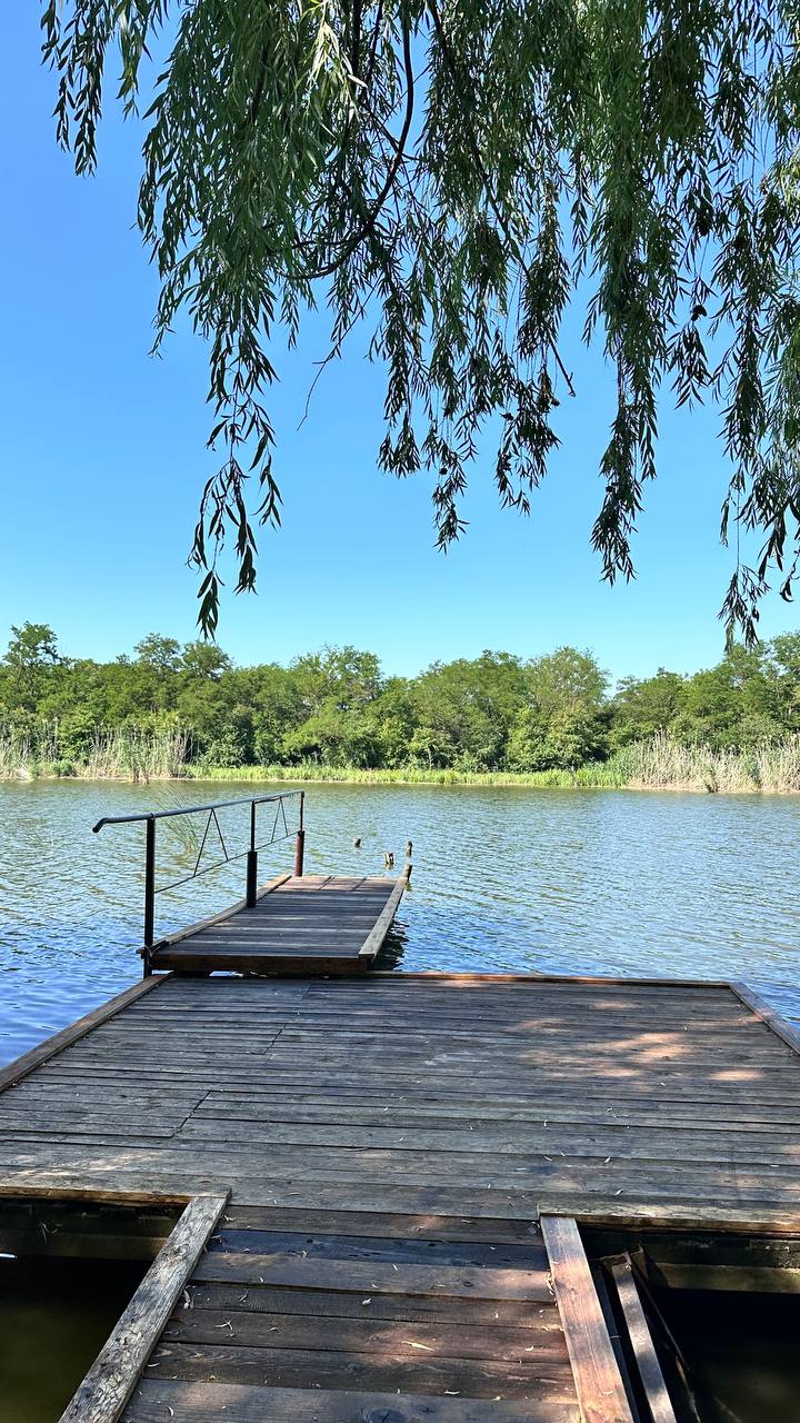 Фото Гнездо