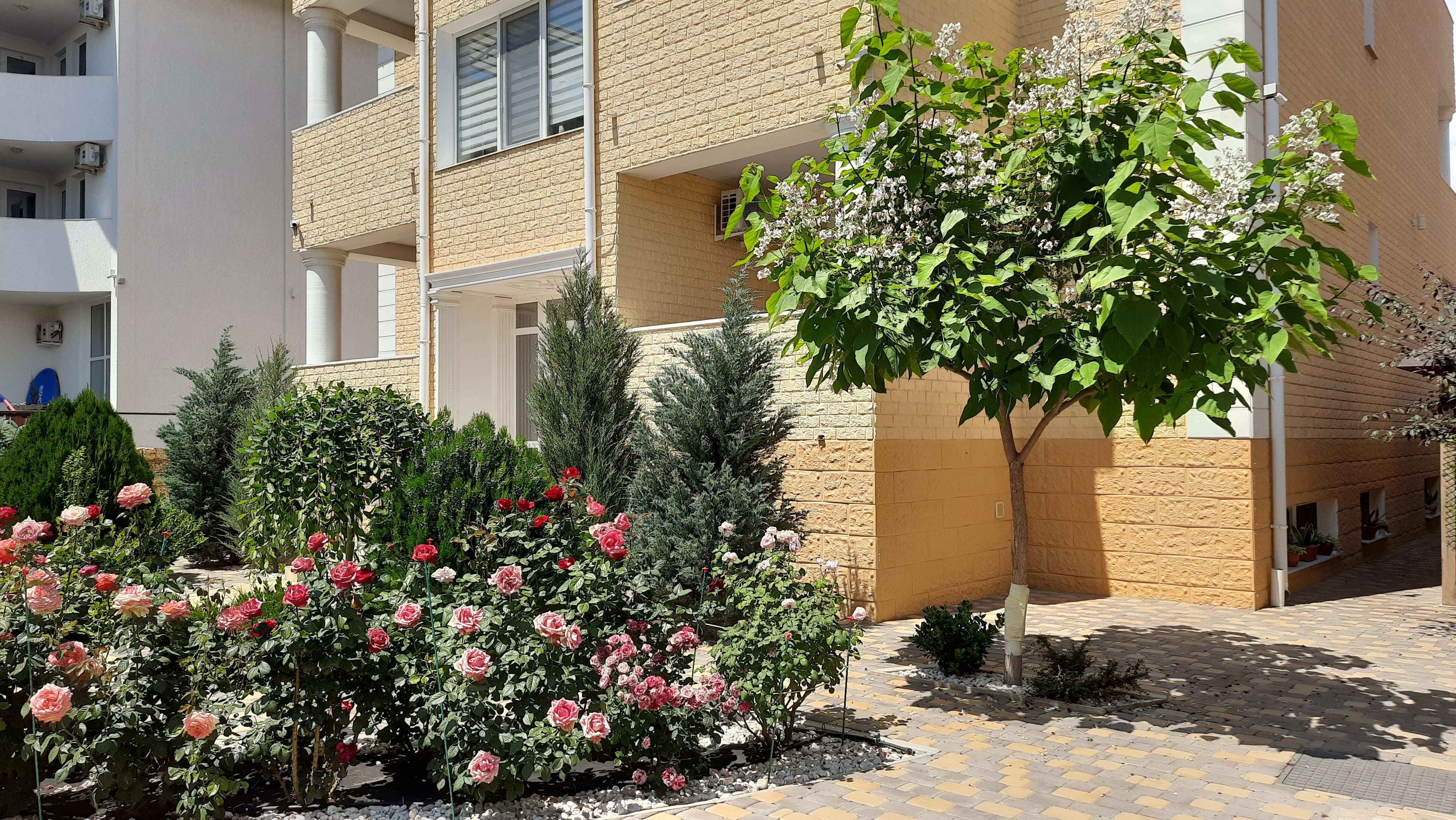 Фото Южный ветер