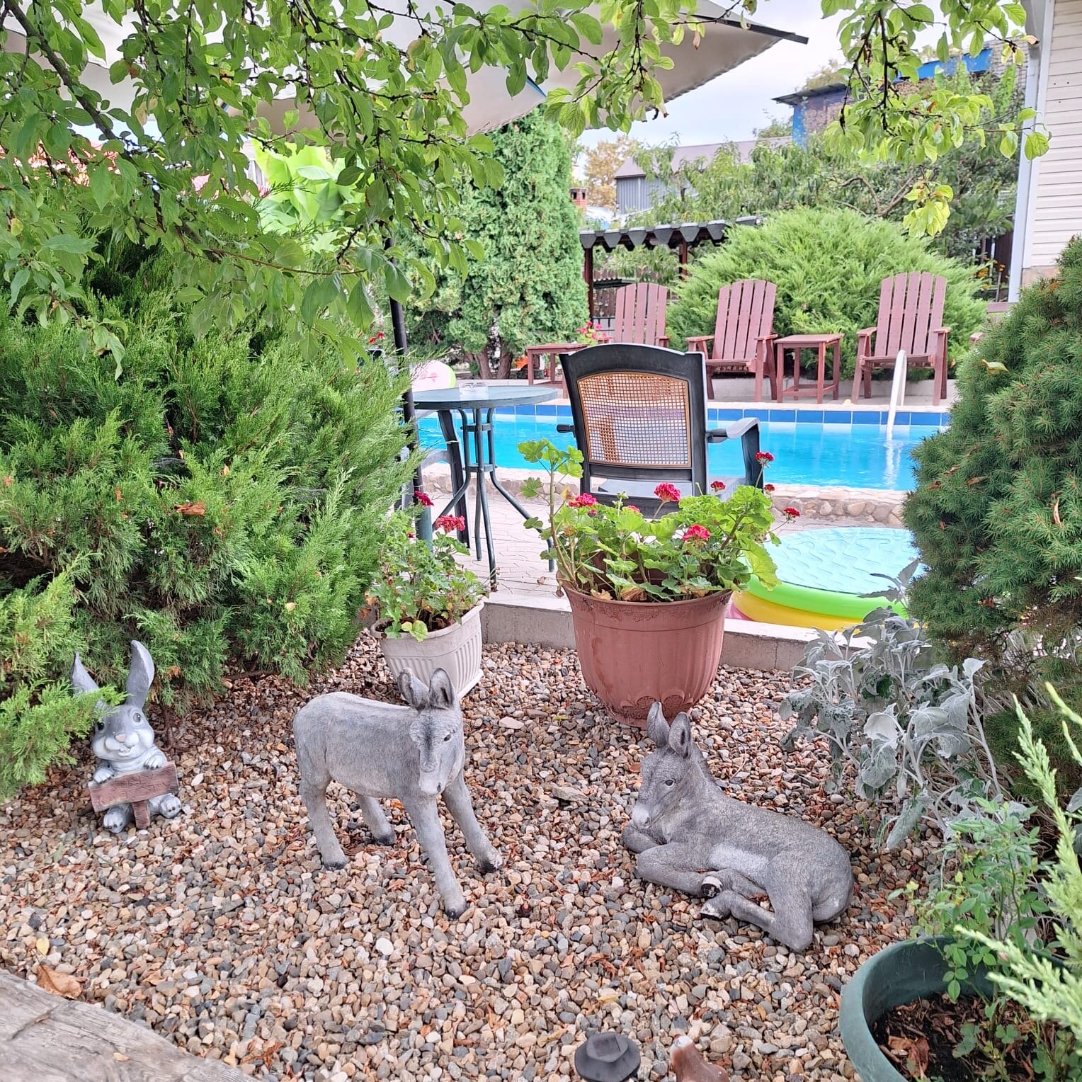 Фото Архипка Rooms