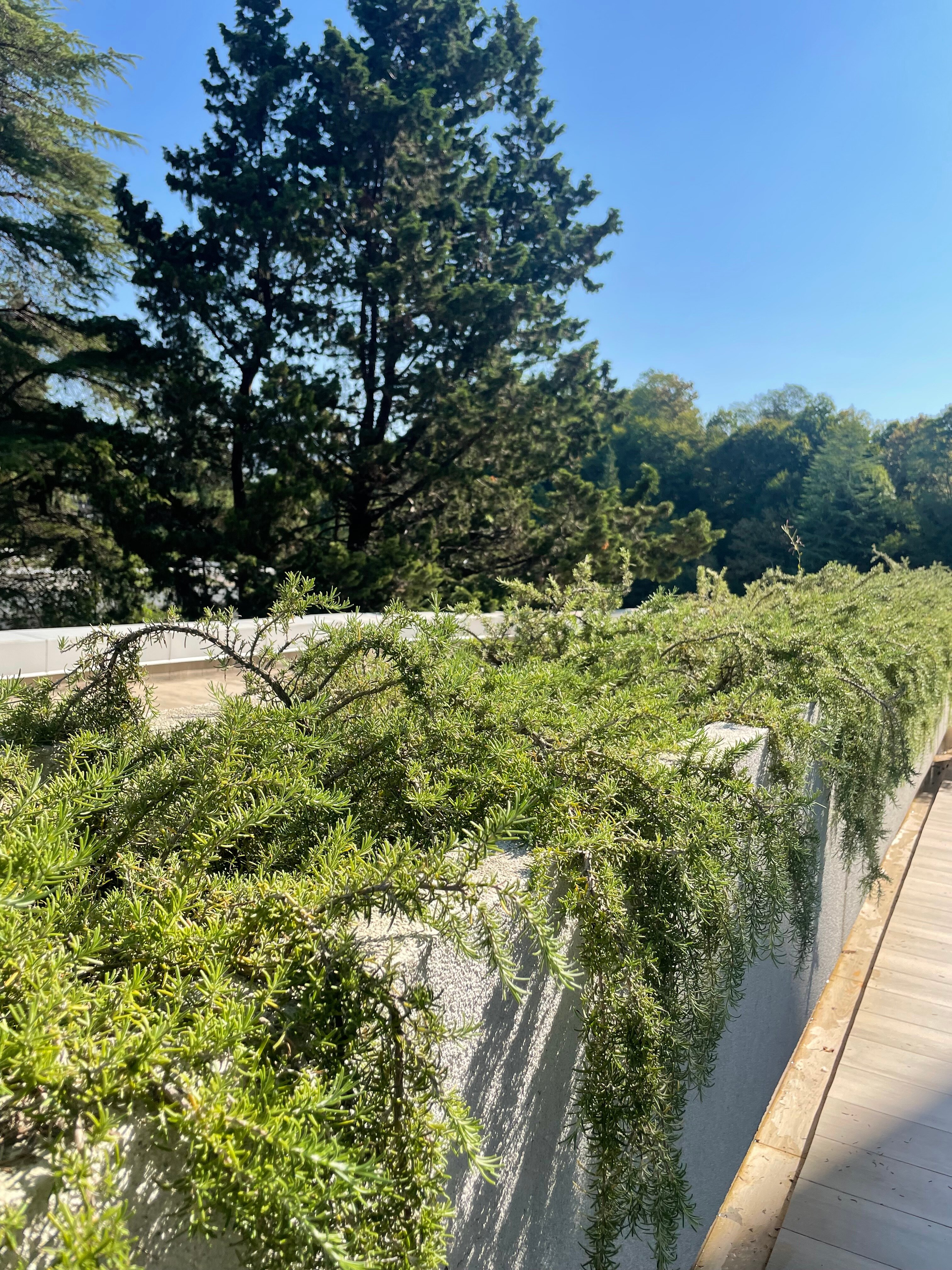 Фото Апартаменты у моря