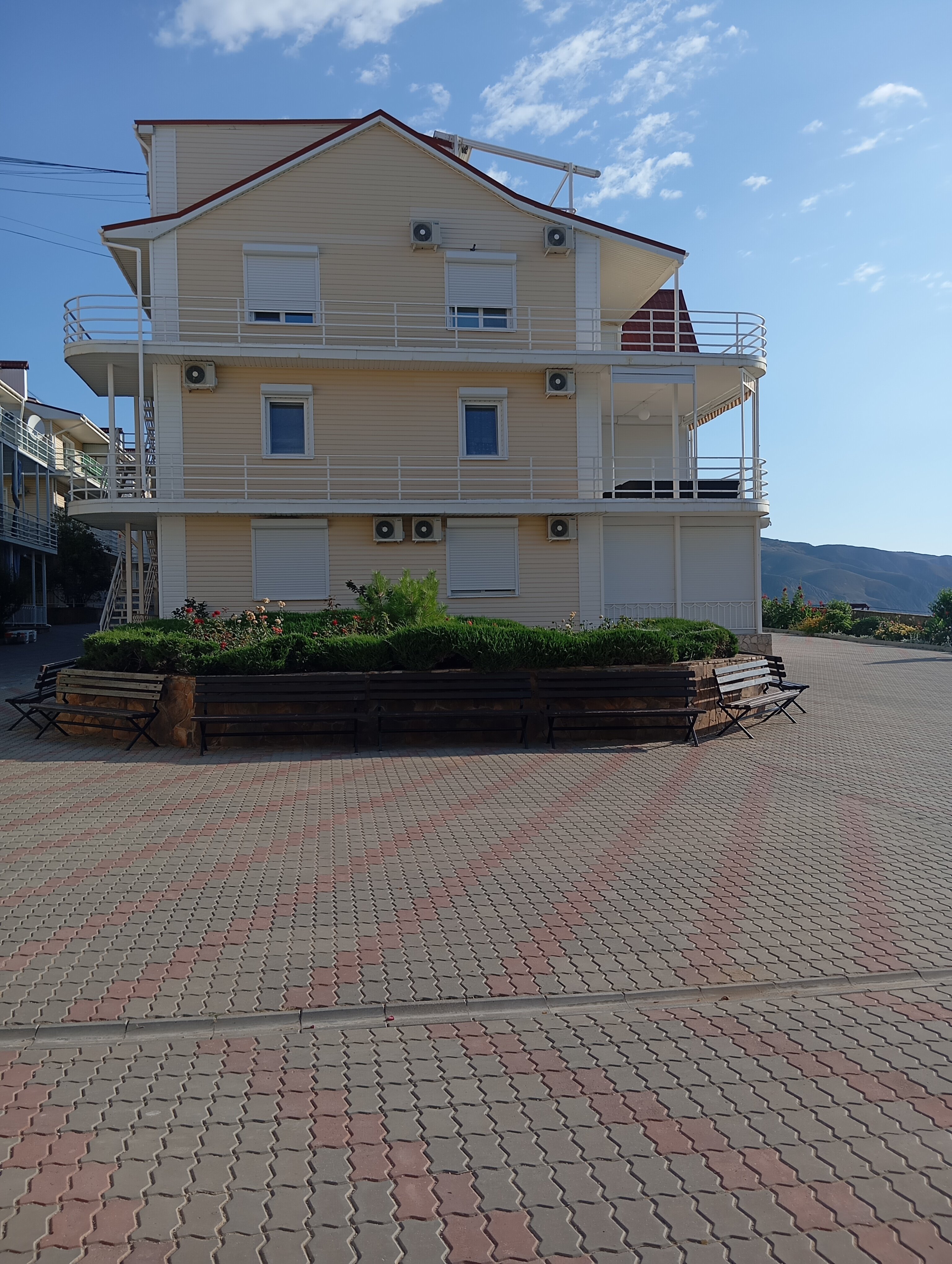 Фото Эллинг у Зои