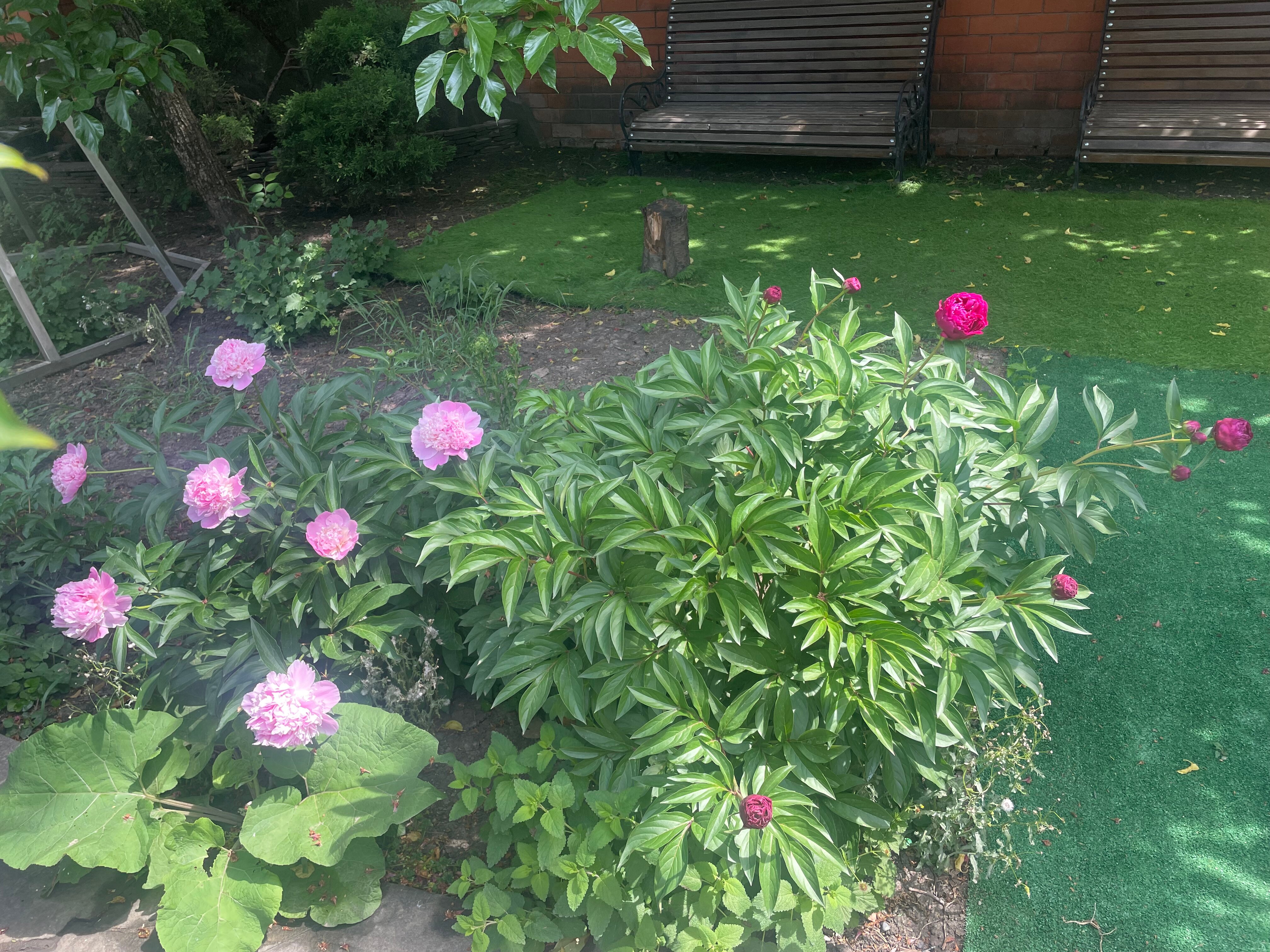 Фото Дом для отдыха