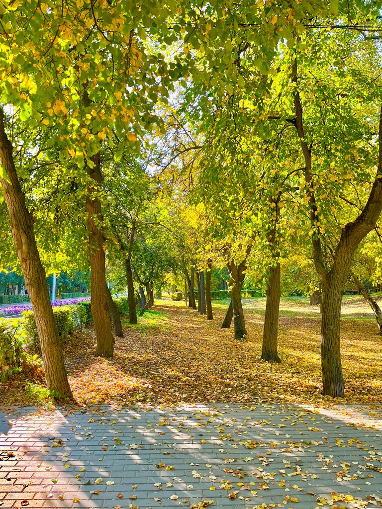 Parque de cultura y ocio парк имени Марка Смехова, , foto