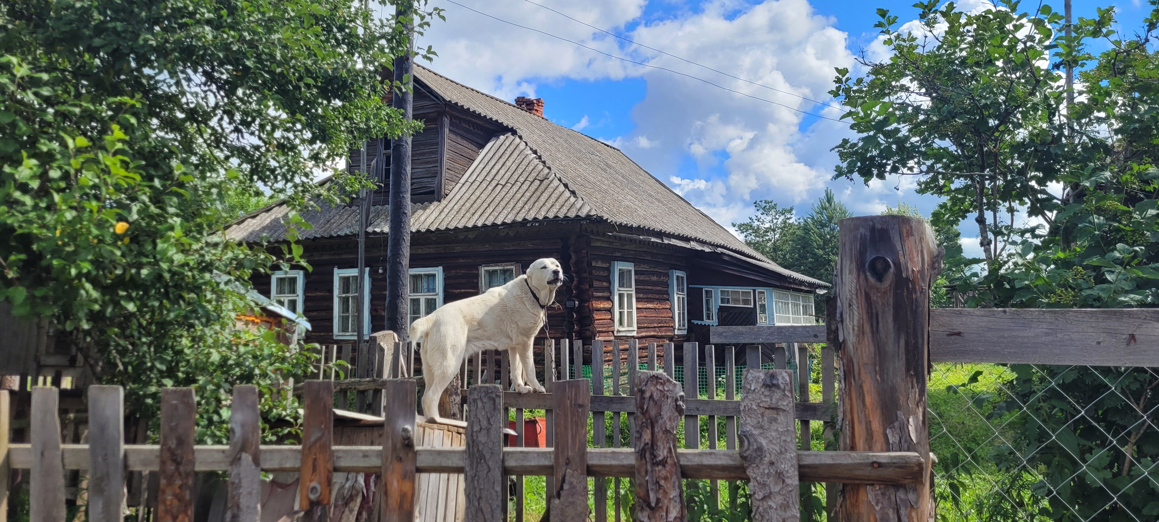 Фото Дом на Мсте