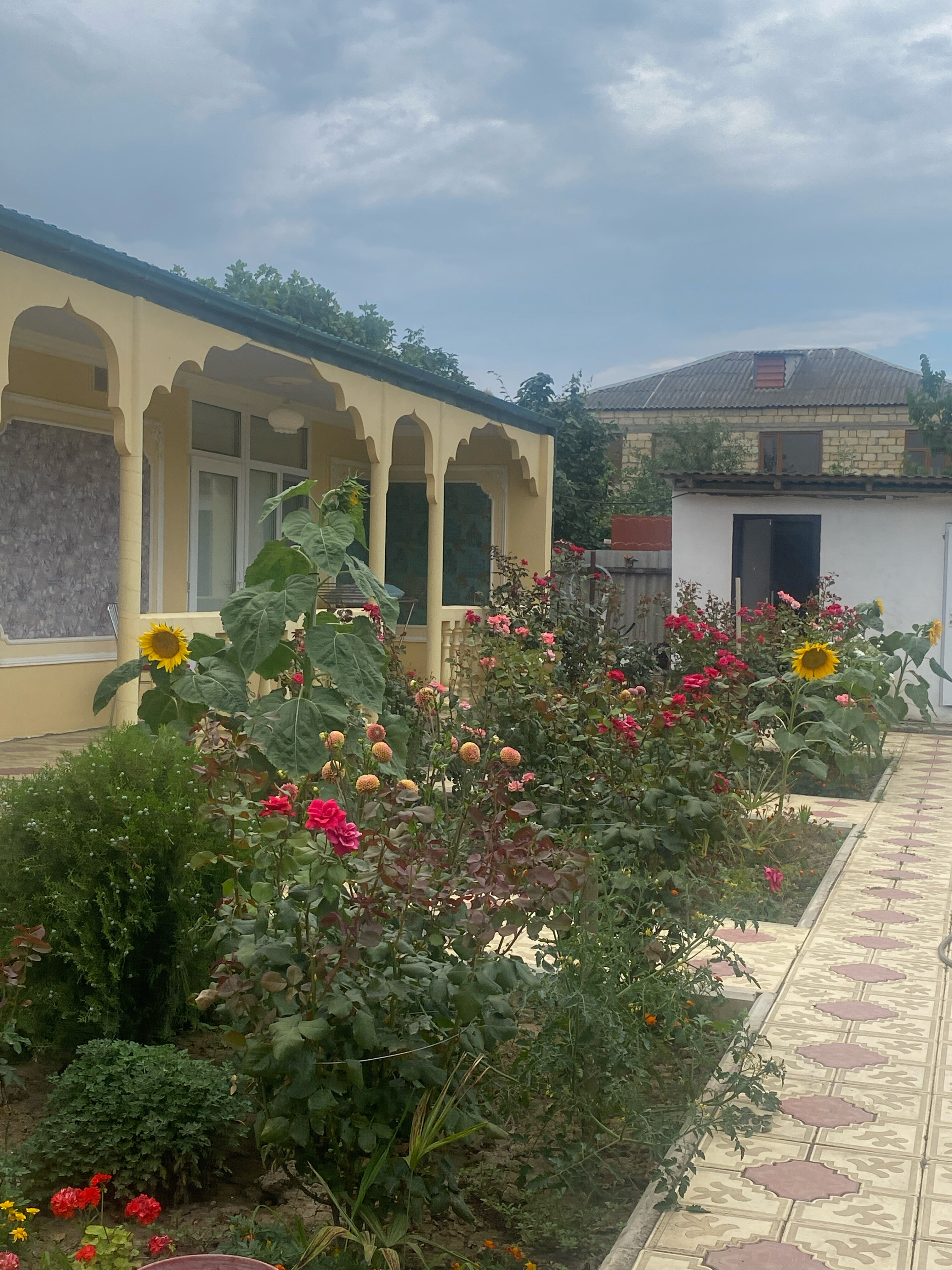 Фото Рассвет