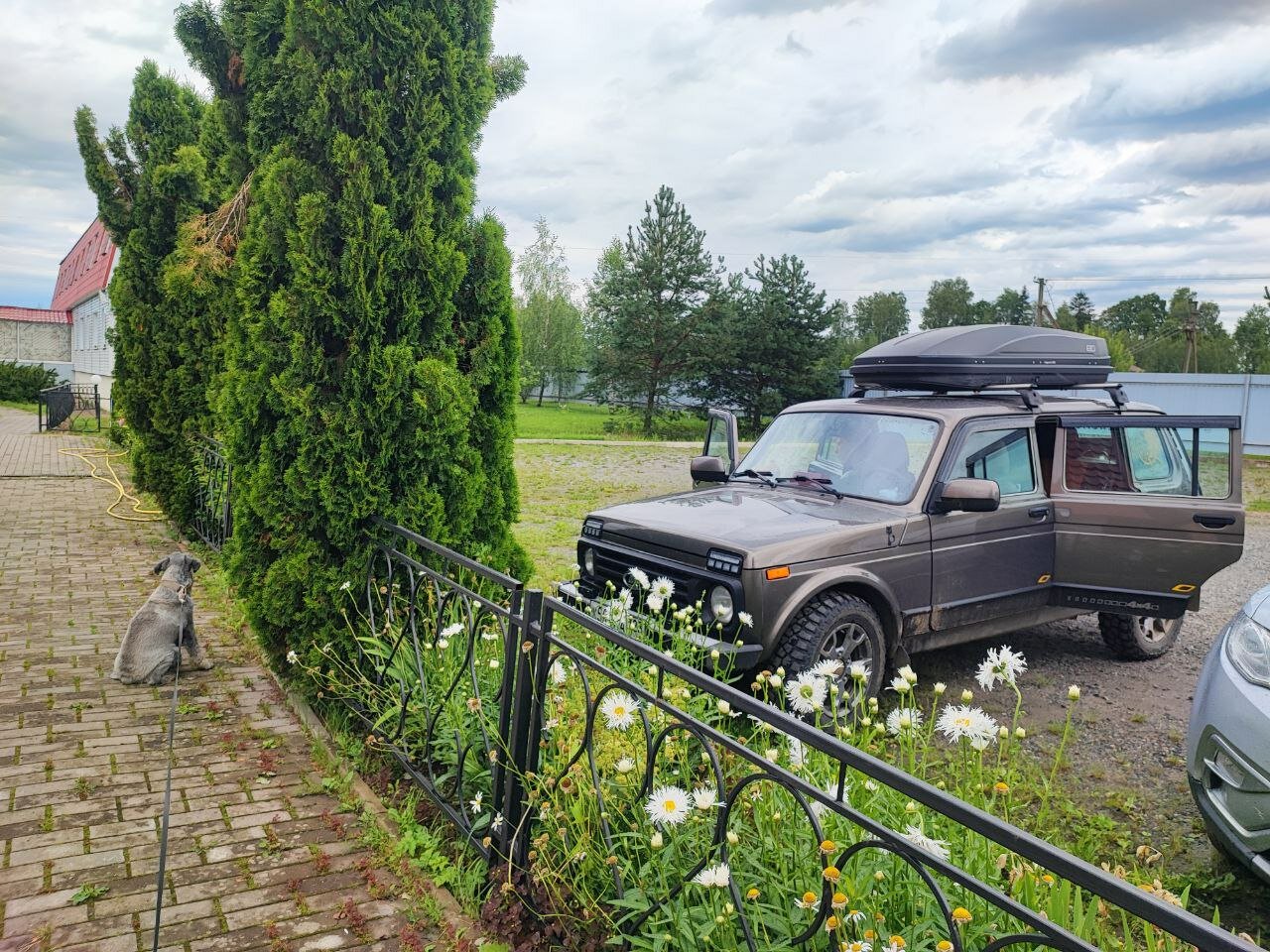 Фото Лесная гавань