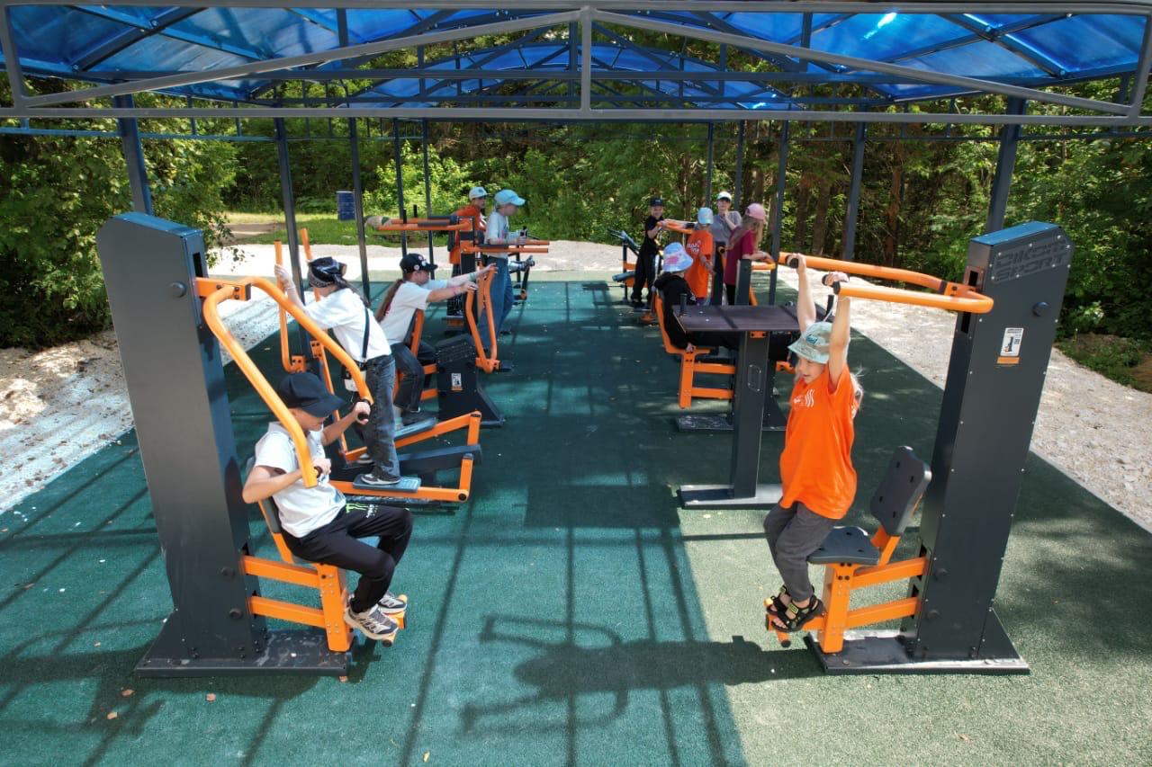 Фото Ромашка