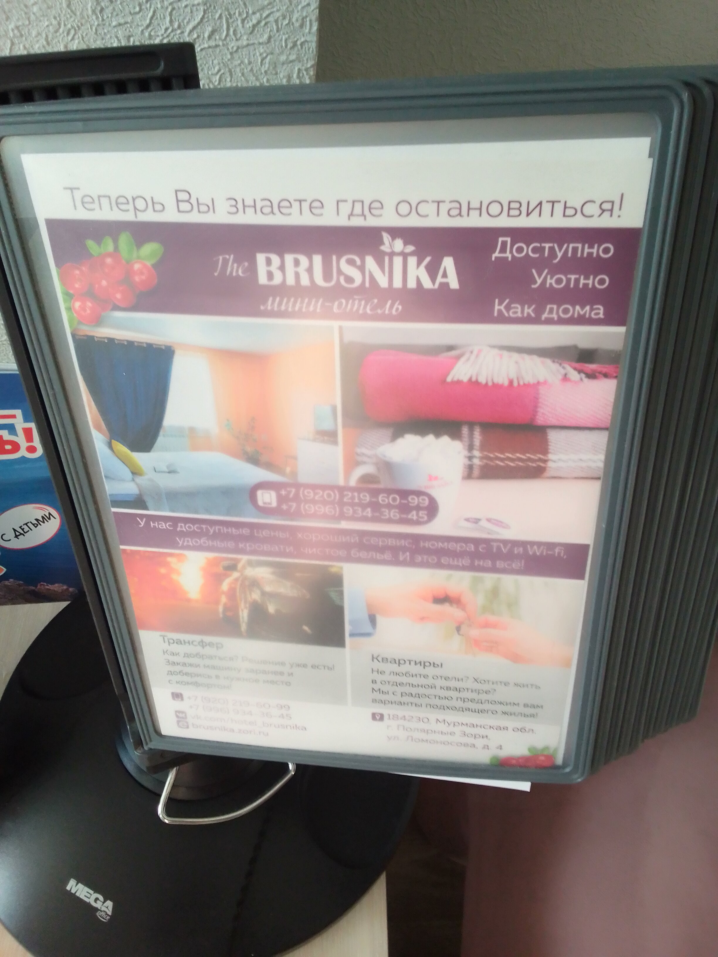 Фото Брусника