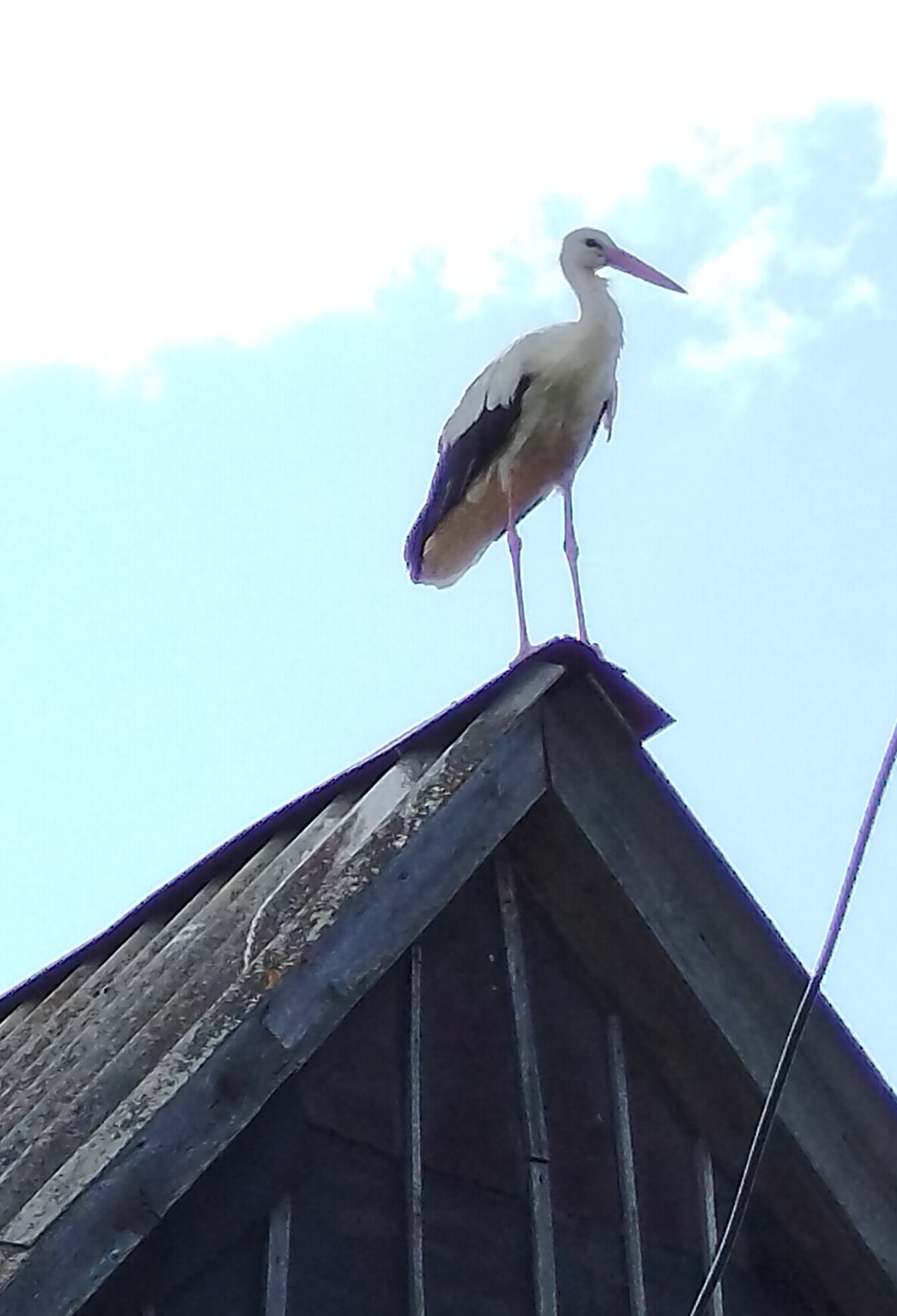 Фото Лунинские Просторы