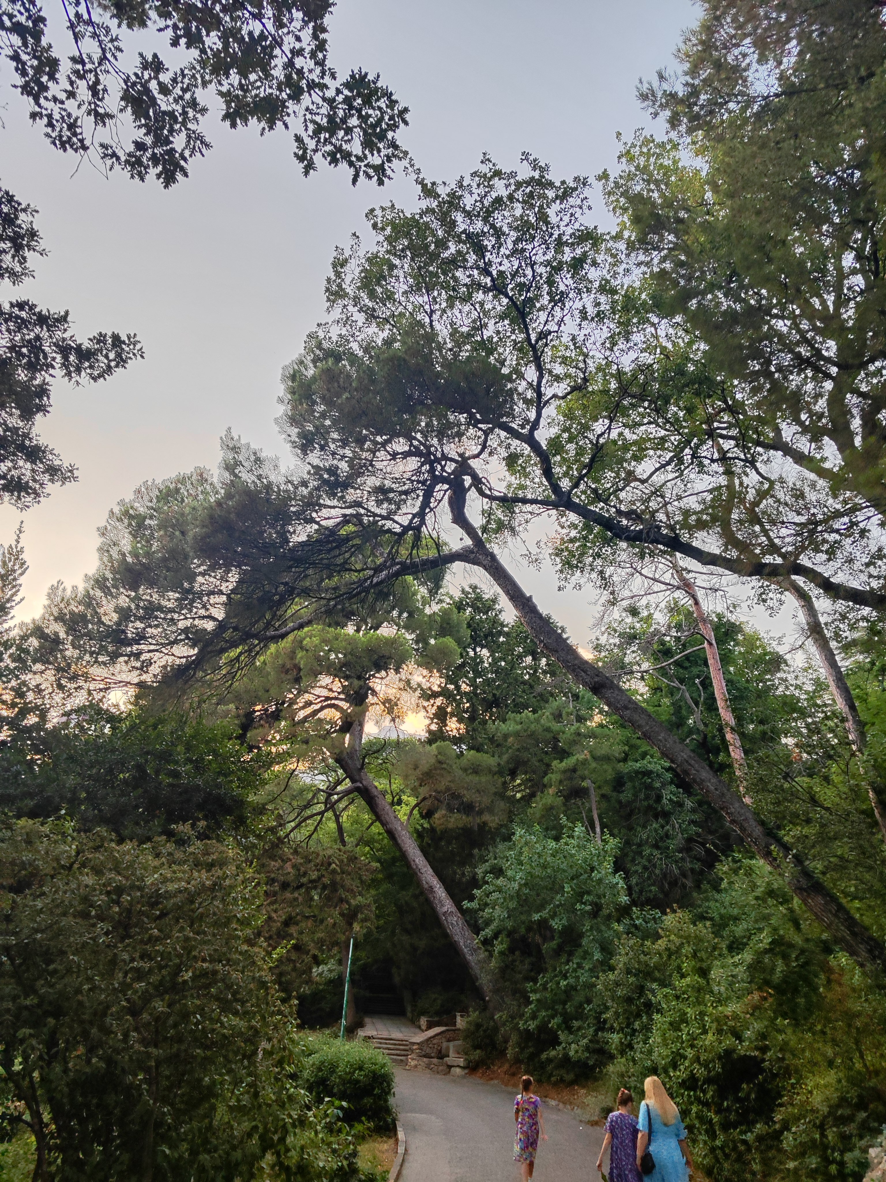 Фото Magic Kingdom